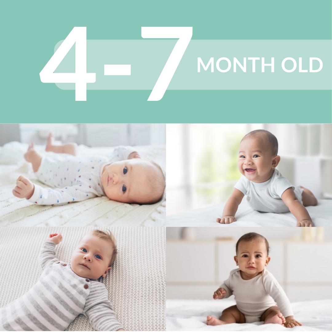 4-7 MONTH SLEEP SCHEDULE BUNDLE