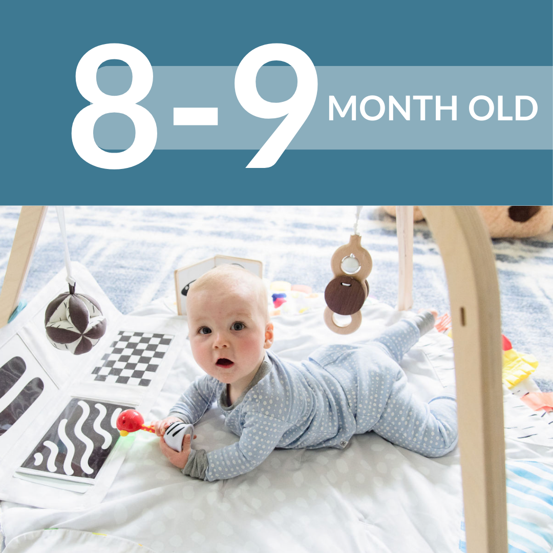 8-9 MONTH SLEEP SCHEDULE