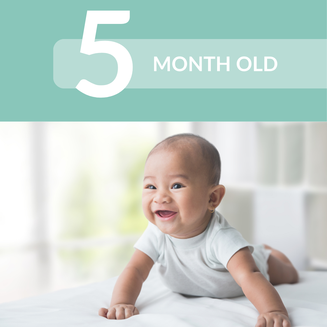 5 MONTH SLEEP SCHEDULE