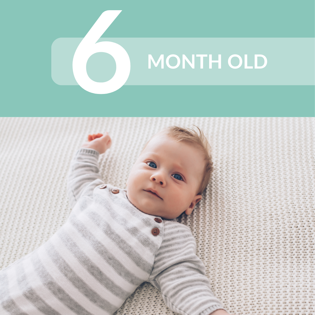 6 MONTH SLEEP SCHEDULE