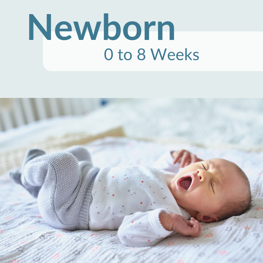 NEWBORN SLEEP SCHEDULE