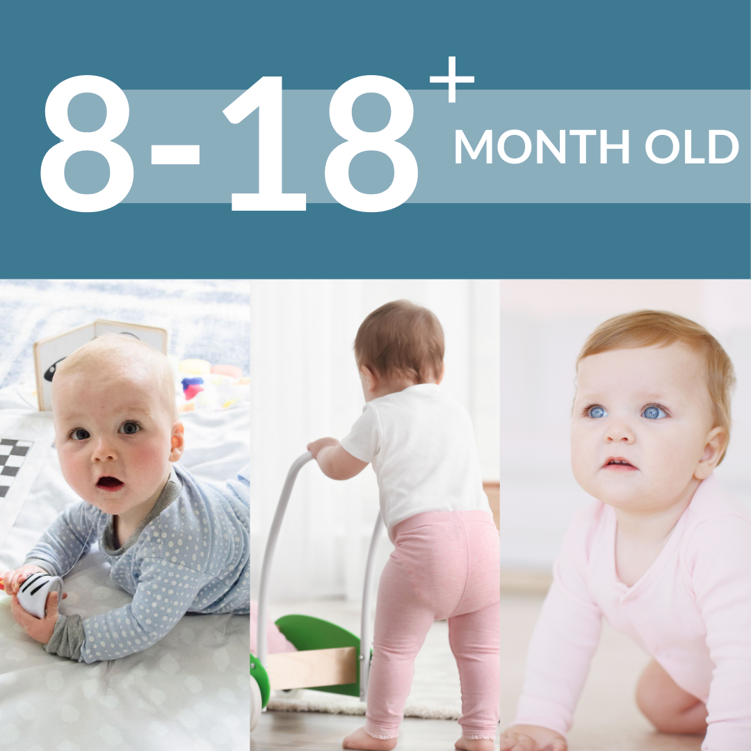 8-18+ MONTH SLEEP SCHEDULE BUNDLE