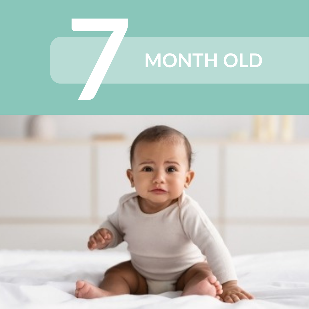 7 MONTH SLEEP SCHEDULE