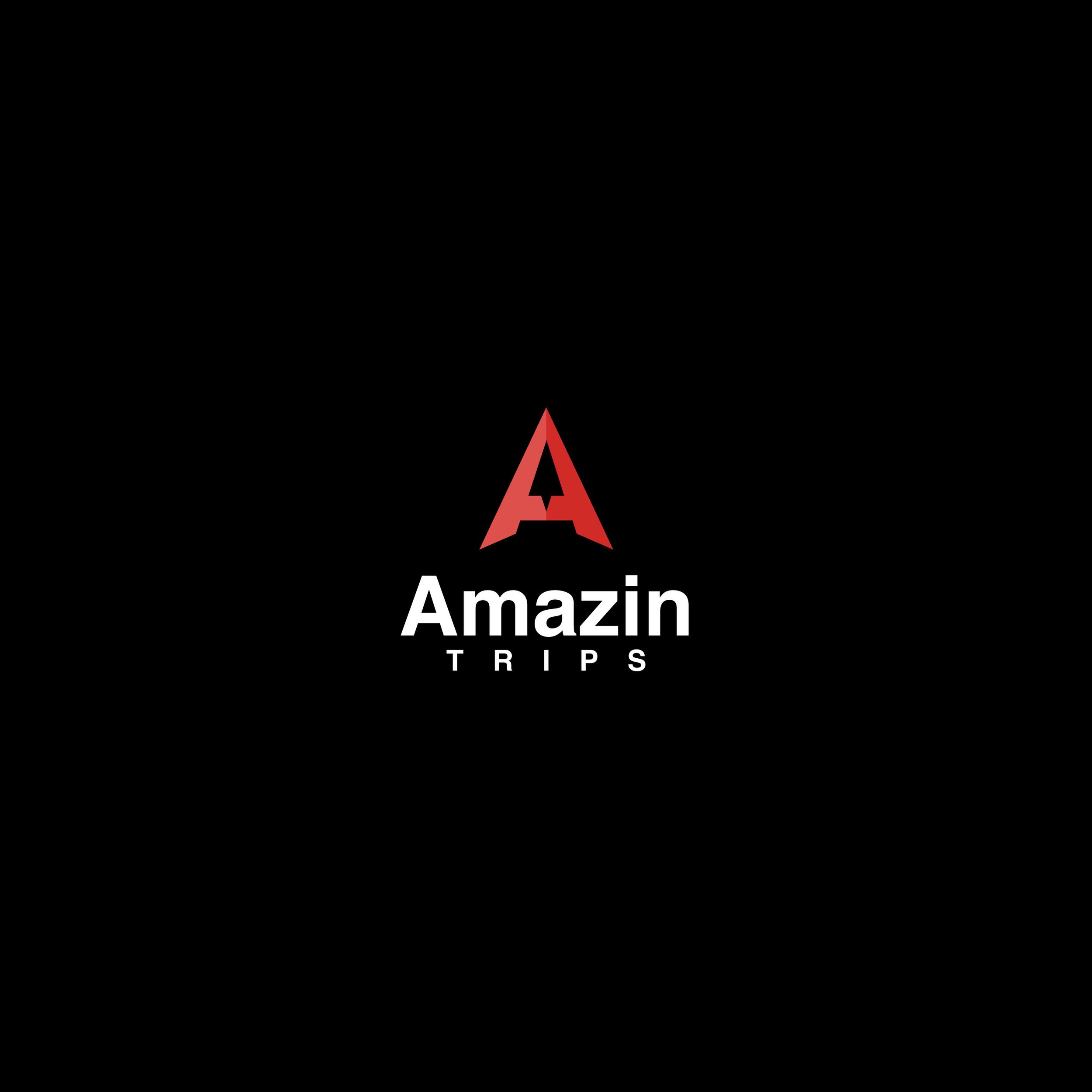 Amazin-Trips-Logo-V-White.jpg