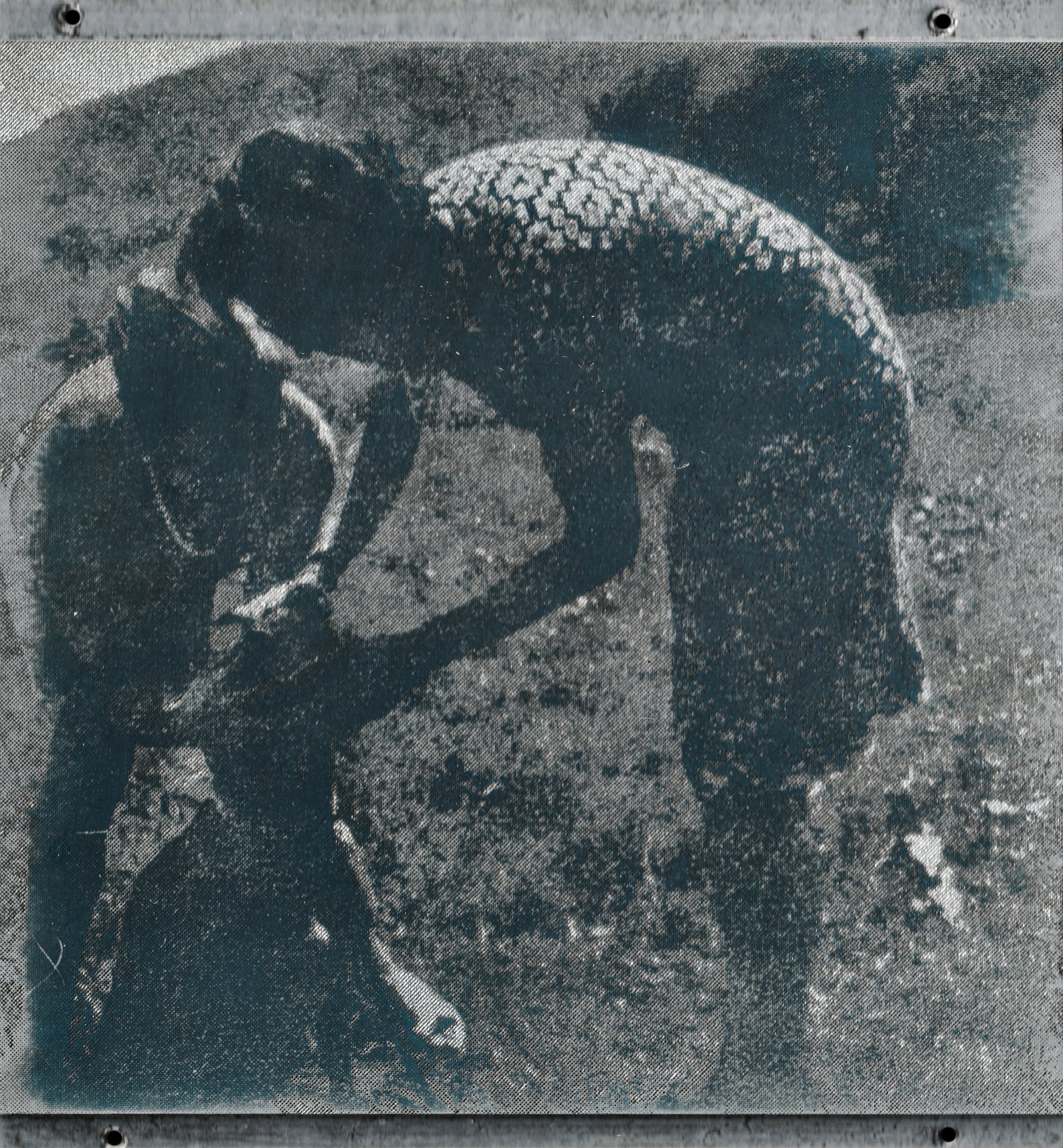 Scan_SBC_1+15.jpg