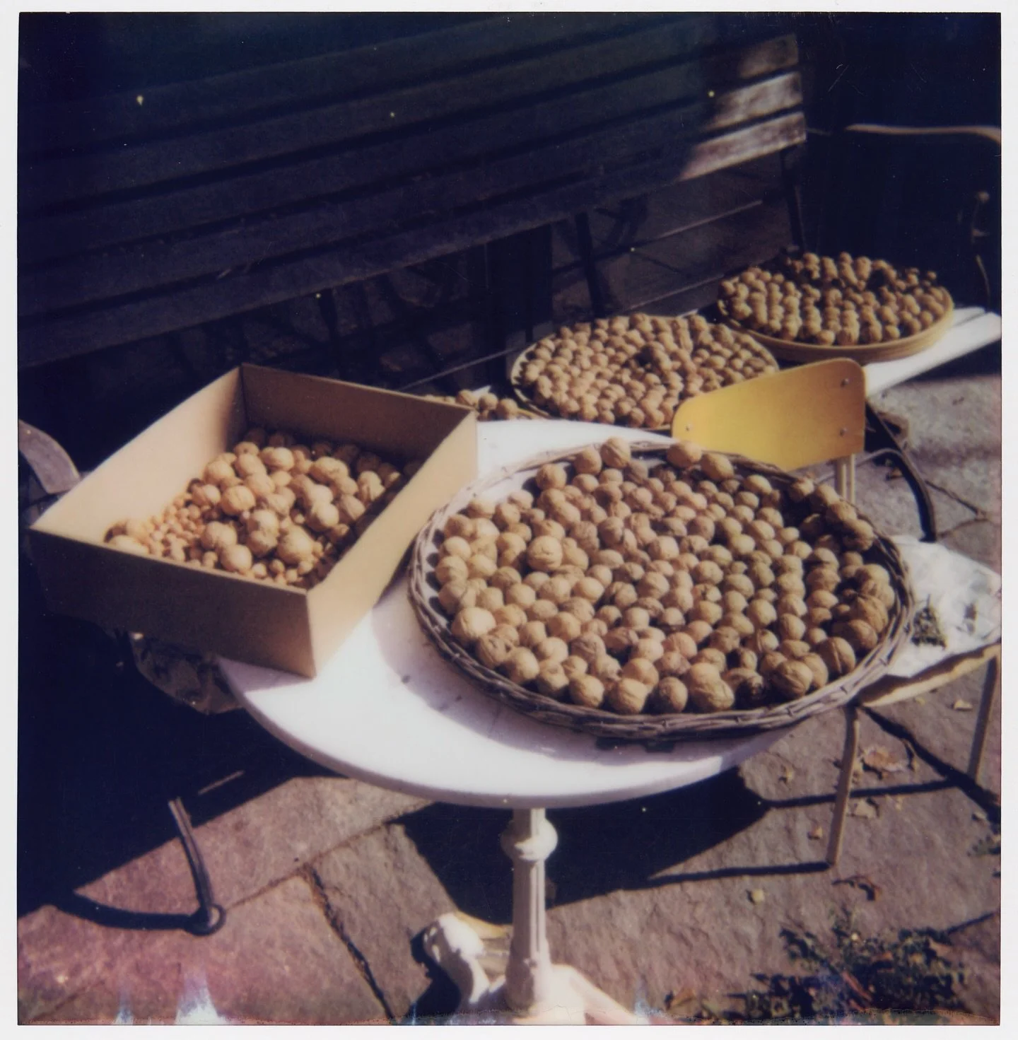 polaroid scan of Dolores&lsquo; walnuts drying in the sun