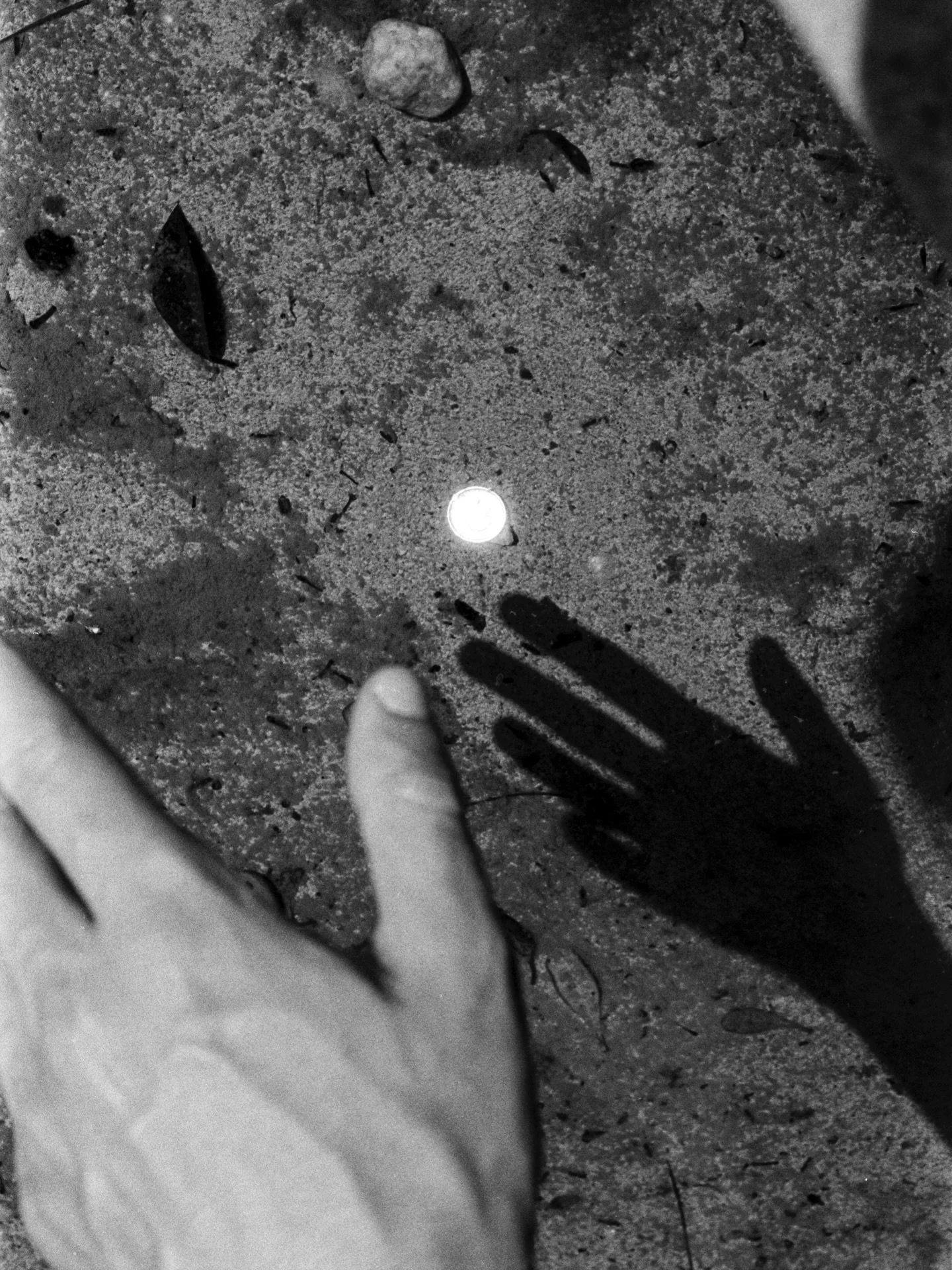 very happy I got to be part of the group show 2&lsquo;43&ldquo; at @pvinteoito in Lisbon with my work One for sorrow, two for joy

//Curated by Jos&eacute; Lu&iacute;s Neto, Ana Caria Pereira, Daniel Pinheiro and Rog&eacute;rio Taveira

//installatio