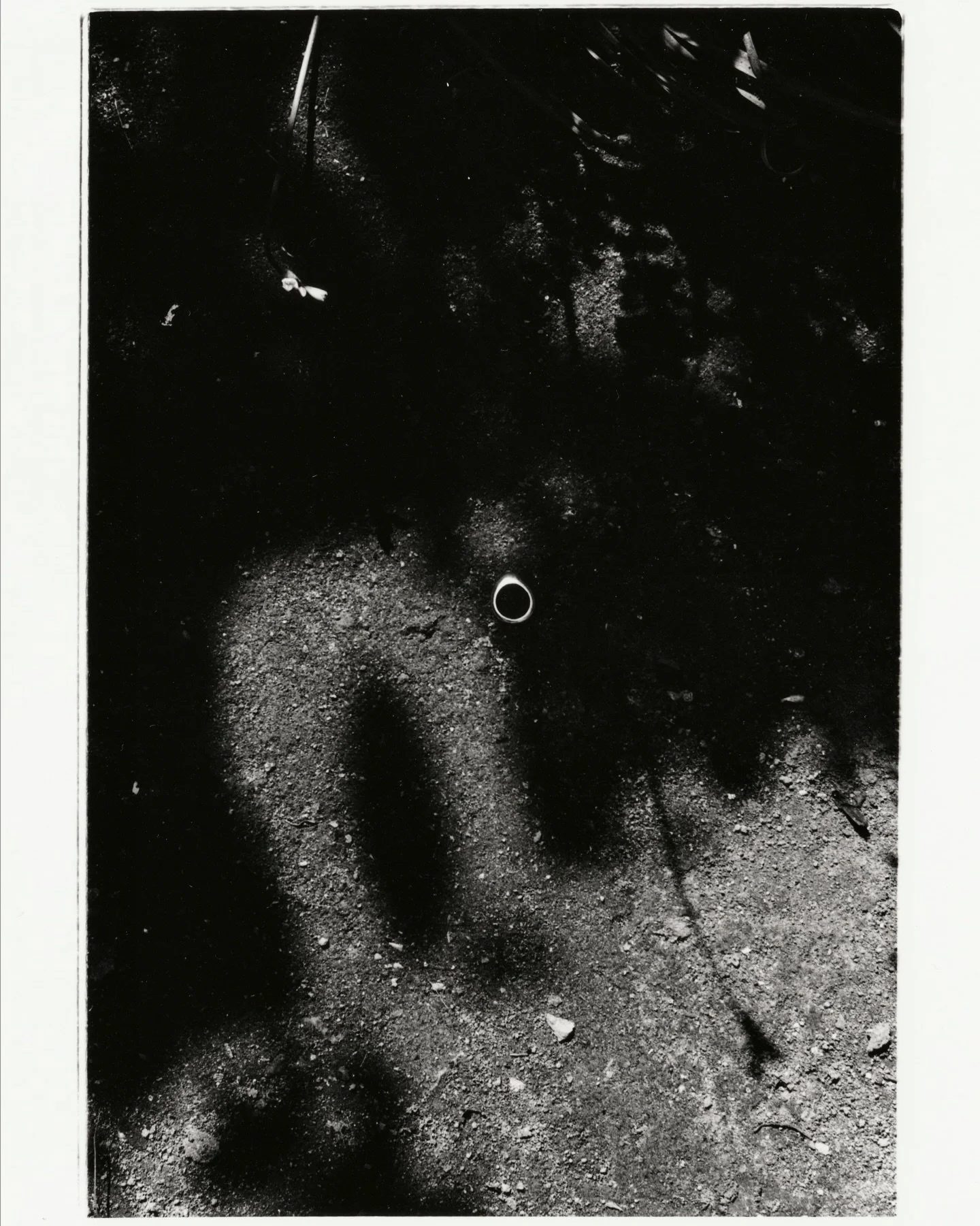 scan of a darkroom print for an ongoing project about magpies, an obsession with silver things and why we decide to keep believing in things we know no longer to be true.