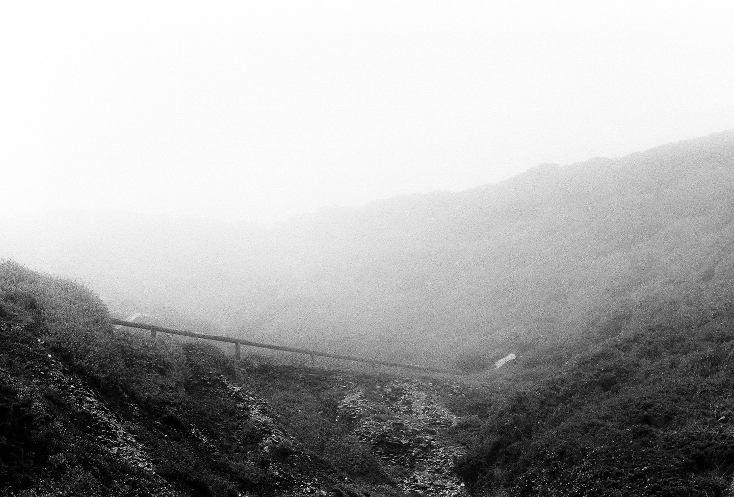 oncoming fog in july, waiting for the sun to pierce through