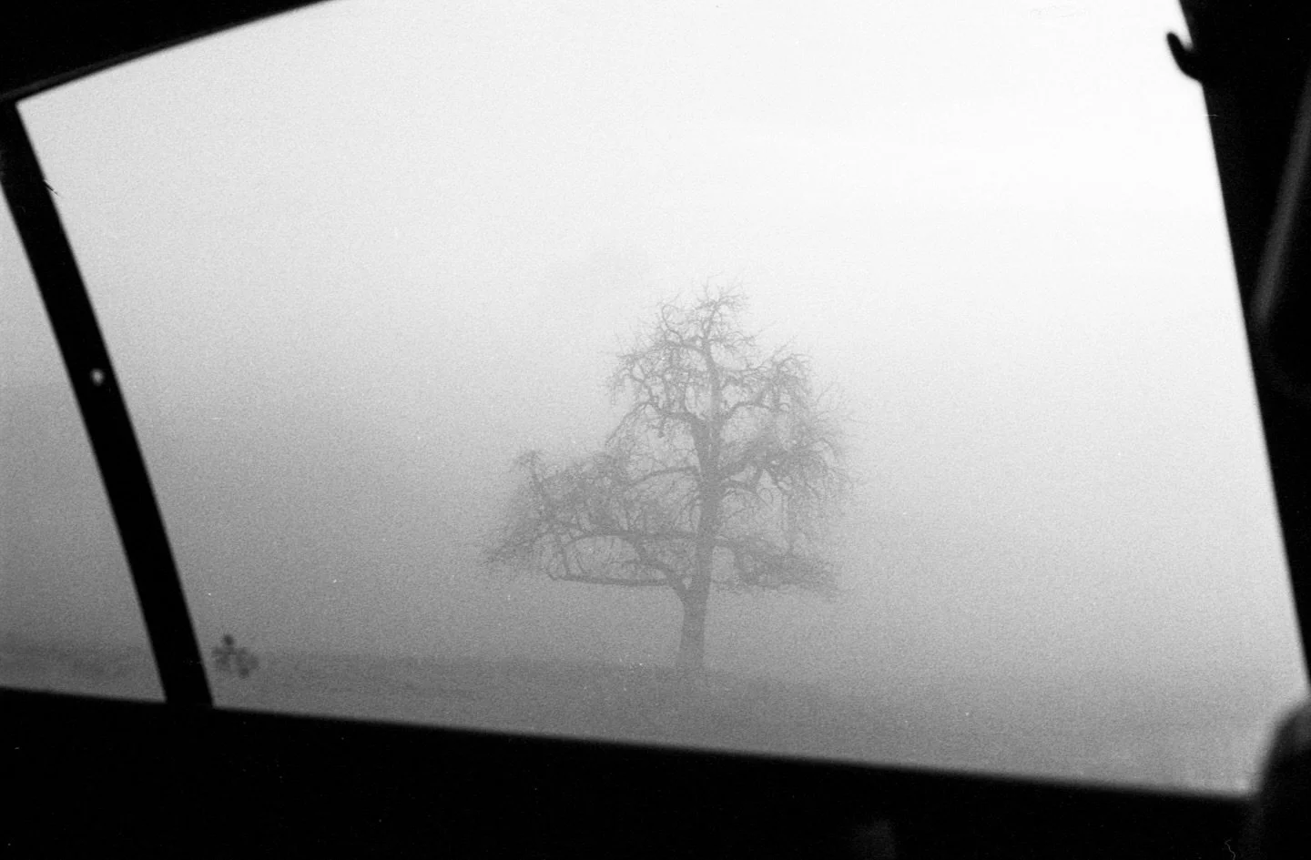 from a morning drive last month