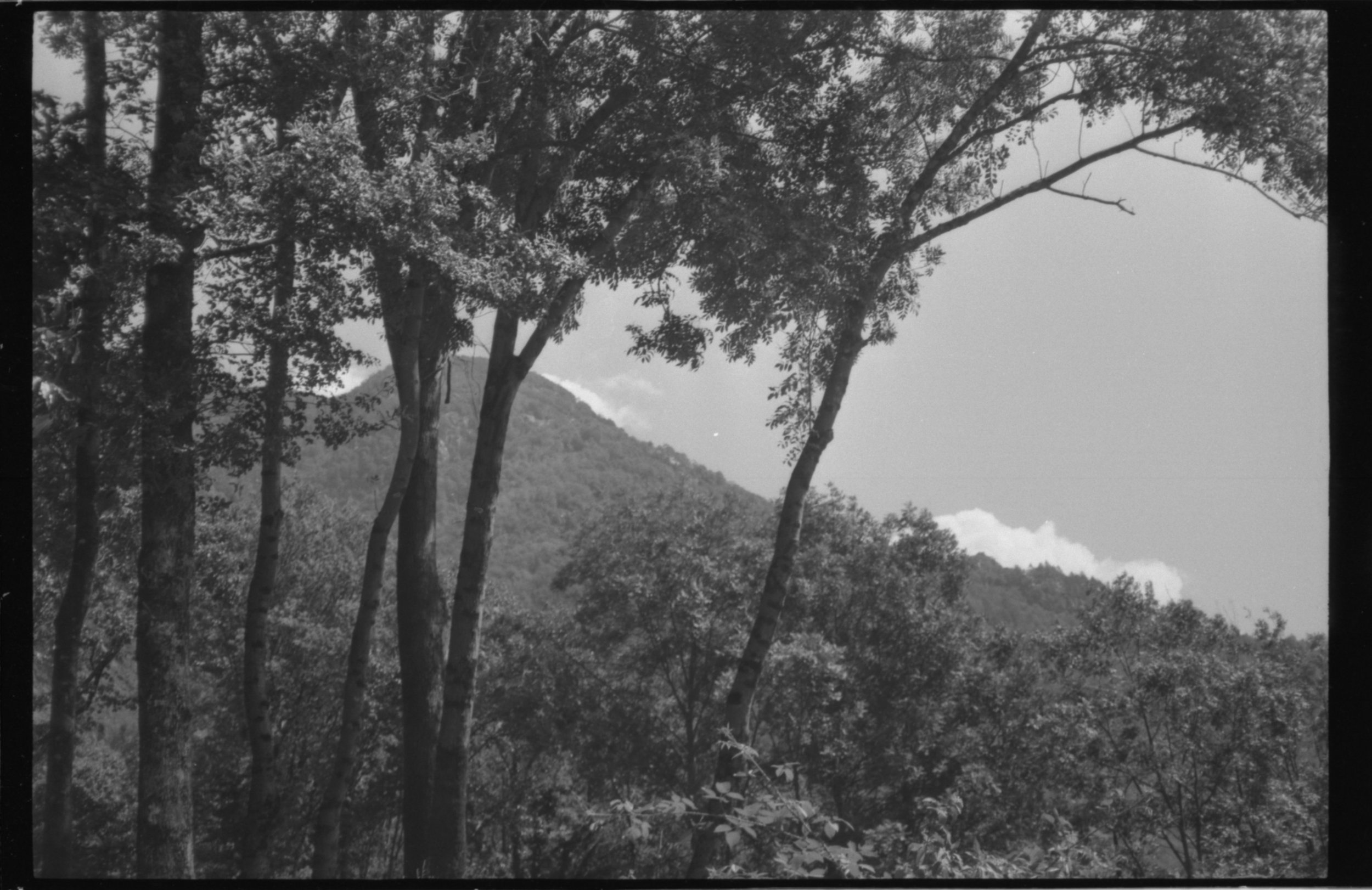 scan37.jpg