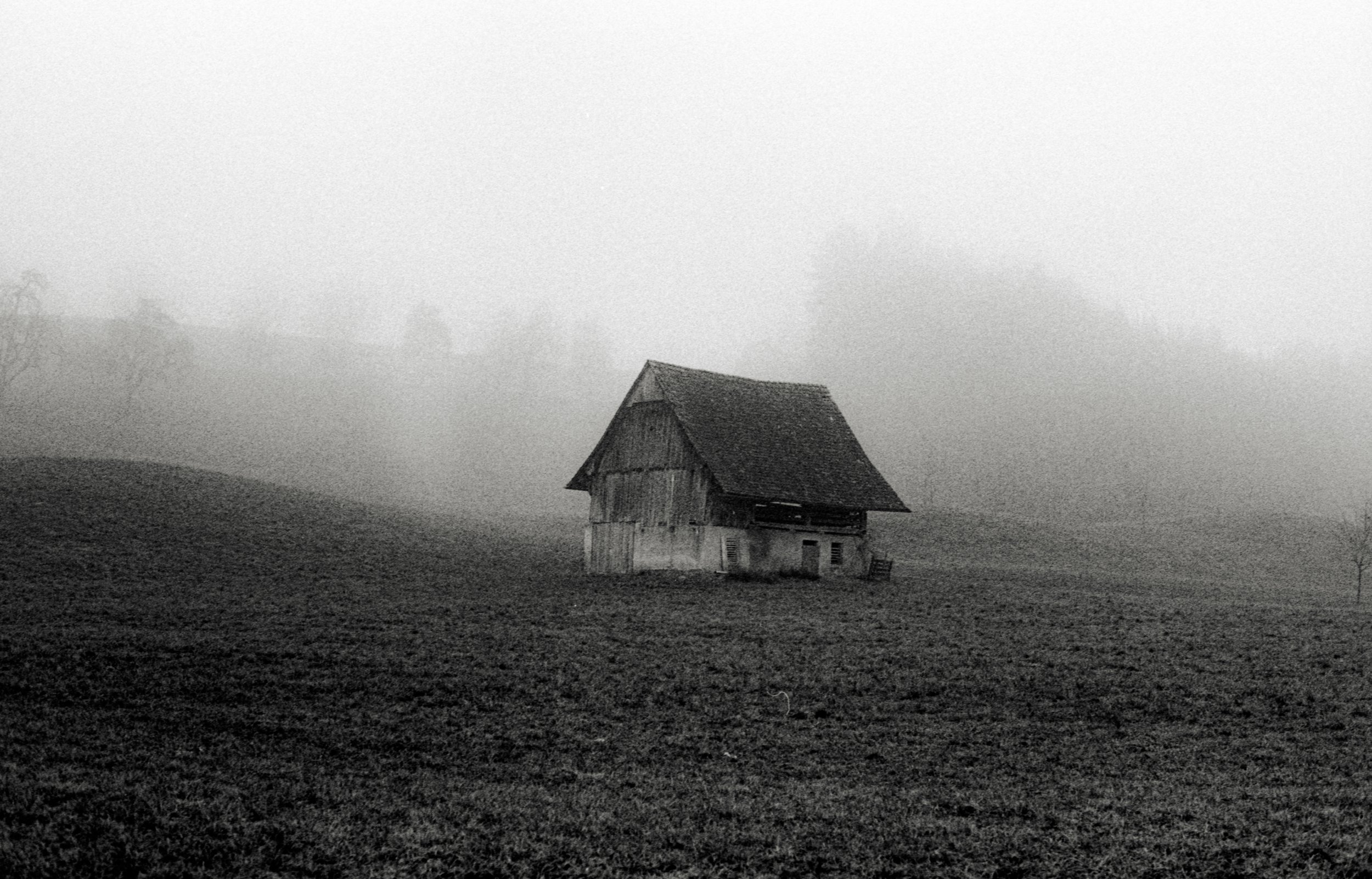 scan_spring_23_1-3.jpg