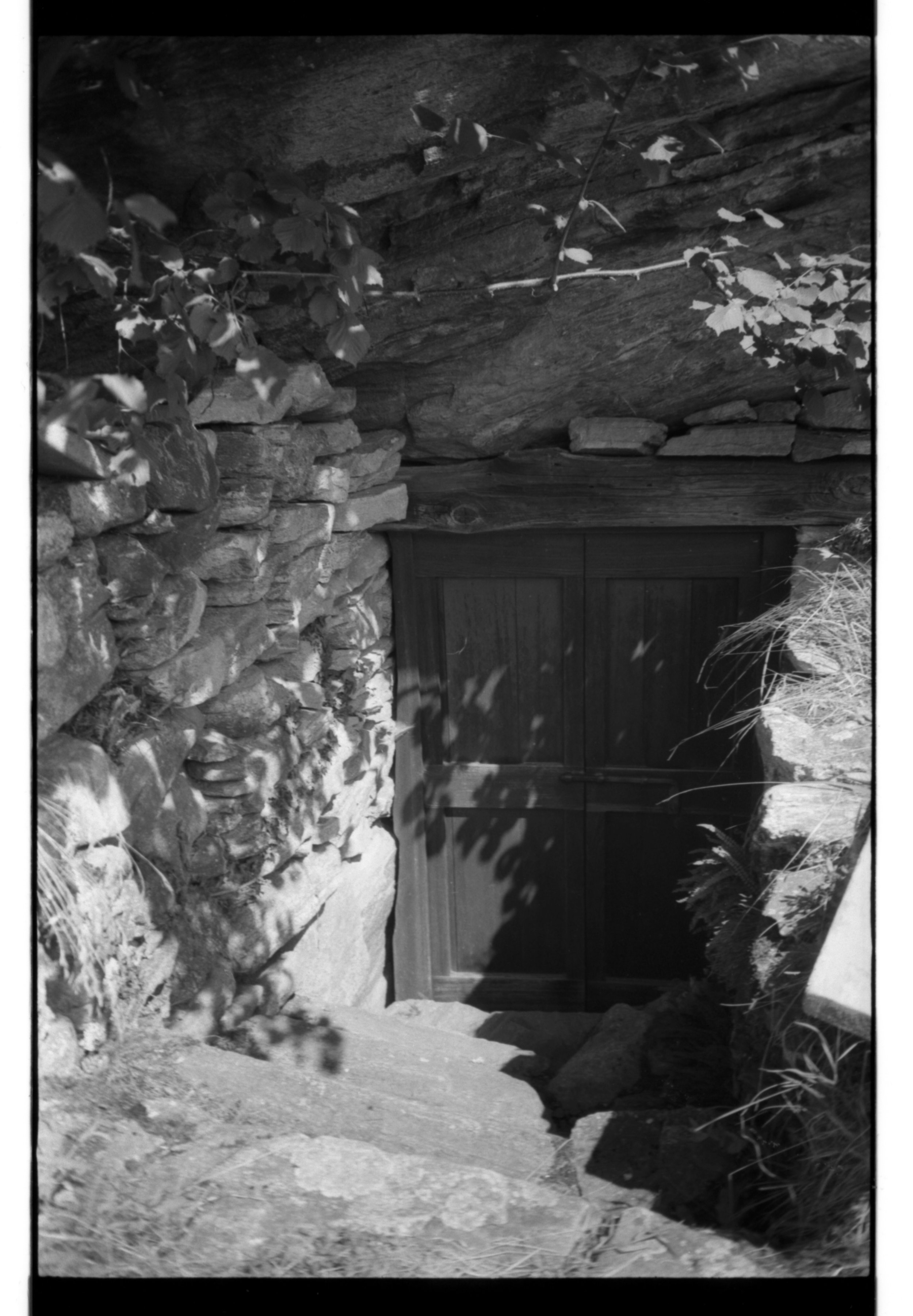 scan30.jpg