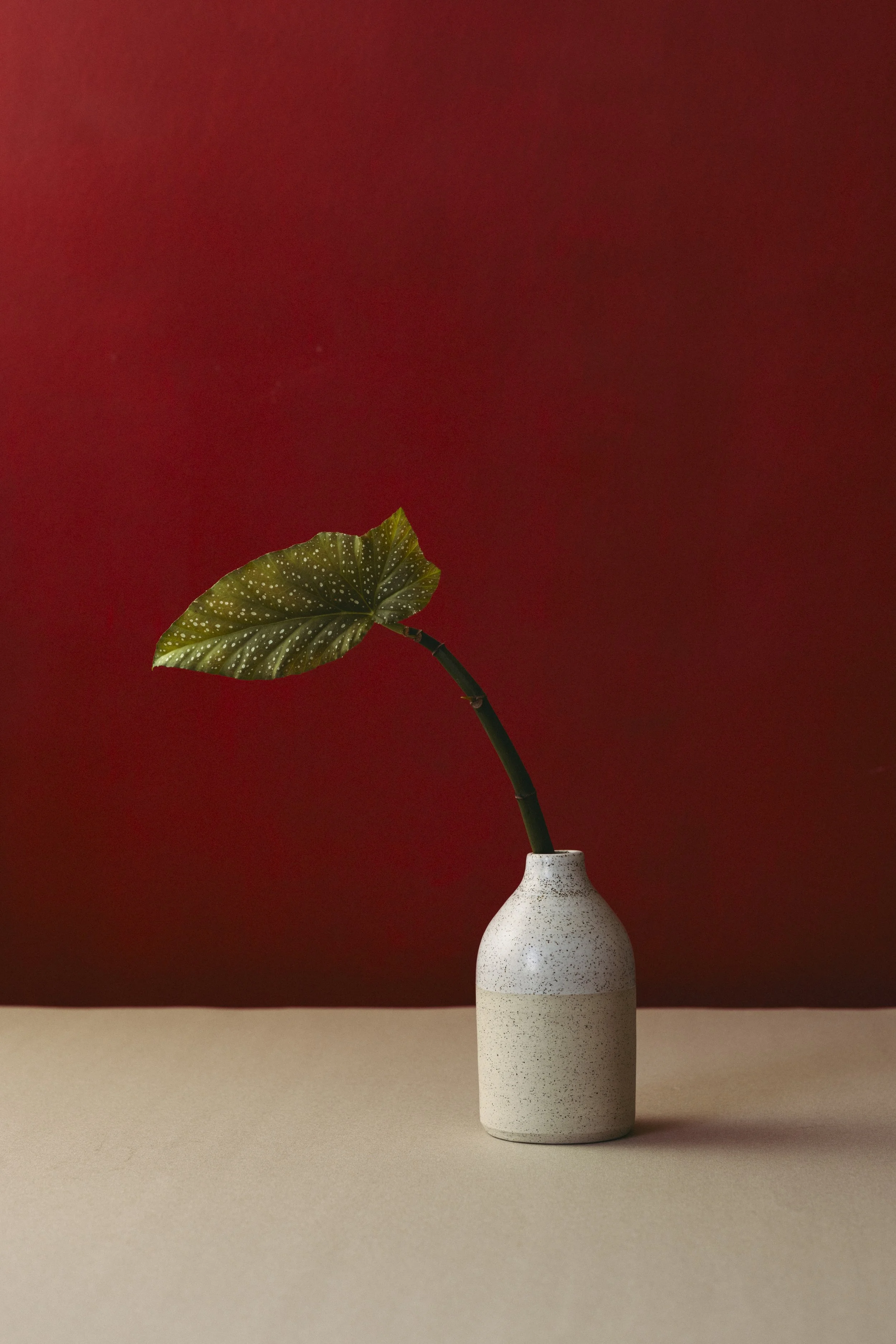 Matthias Kurmann Keramik