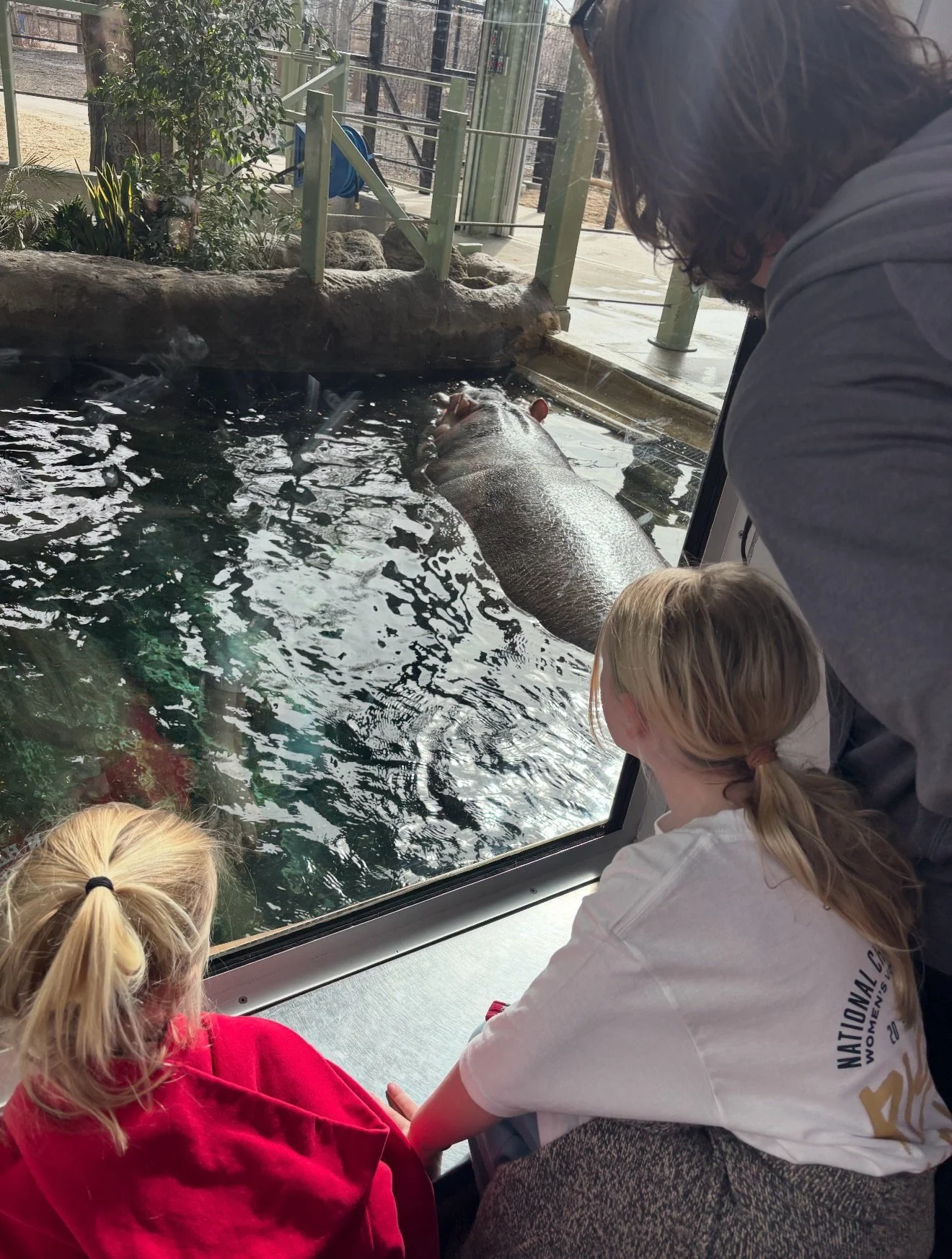 Digital diary of march break with the fam 🫶🏼✨

We traded snow for more snow with week out West in Calgary &amp; Banff! Plus, any excuse to see @madebycoker 😉