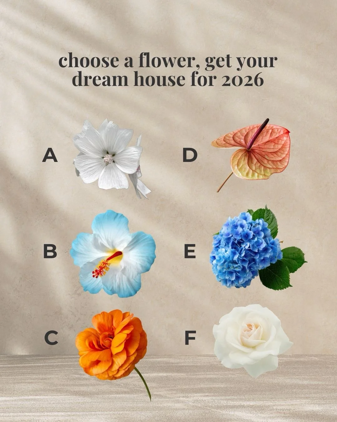 Which one did you get? 🌸