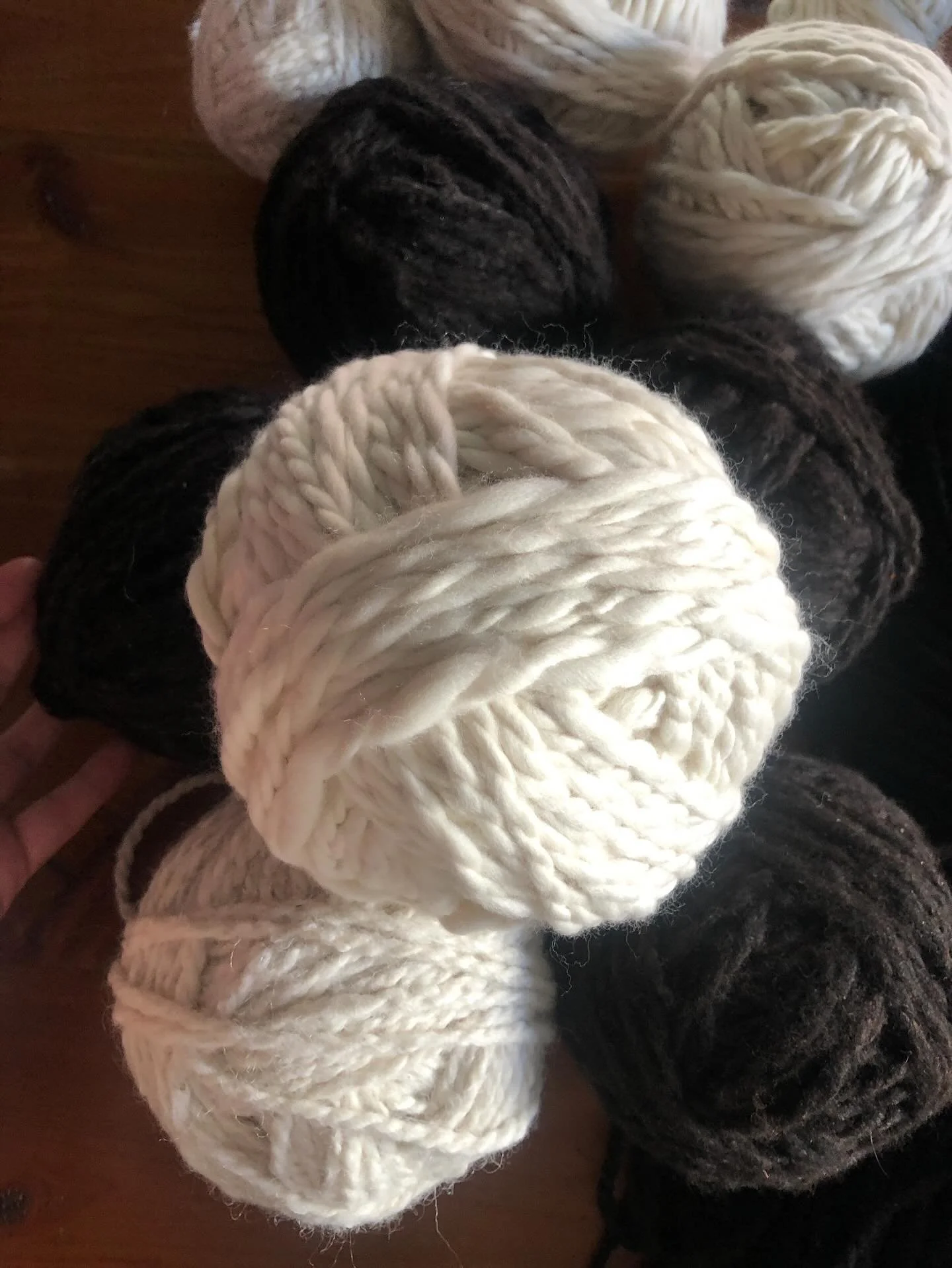 Wool 🧶 in its purest form - natural, raw, and ready to become something magical 💫

From Patagonia to the world with love 🤍