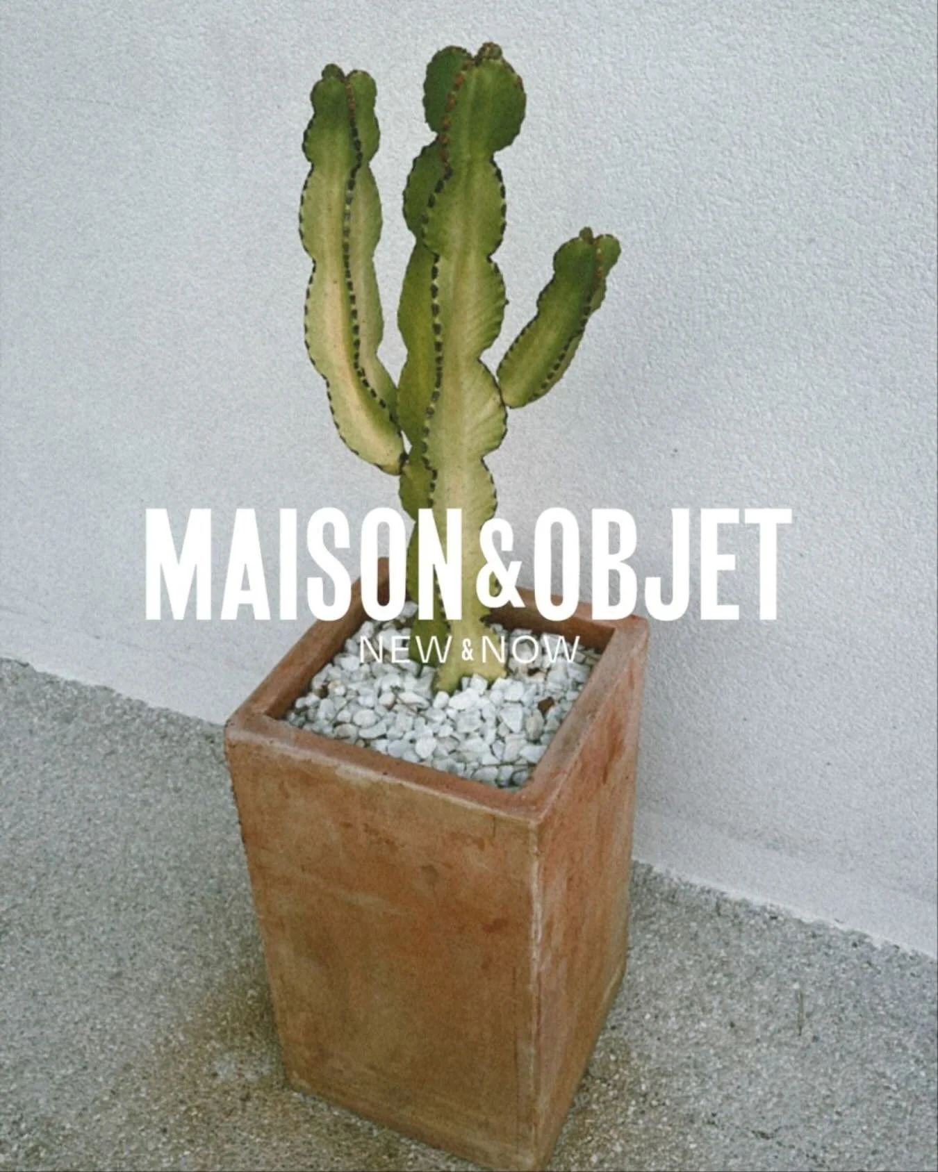 ✨Big news! @andesdesign is heading to @maisonetobjet in Paris 🇫🇷 next week - from 4 to 8 September. We&rsquo;ll be joining thousands of designers from around the world in a celebration of craft, beauty, and creativity.

If you&rsquo;re visiting, co