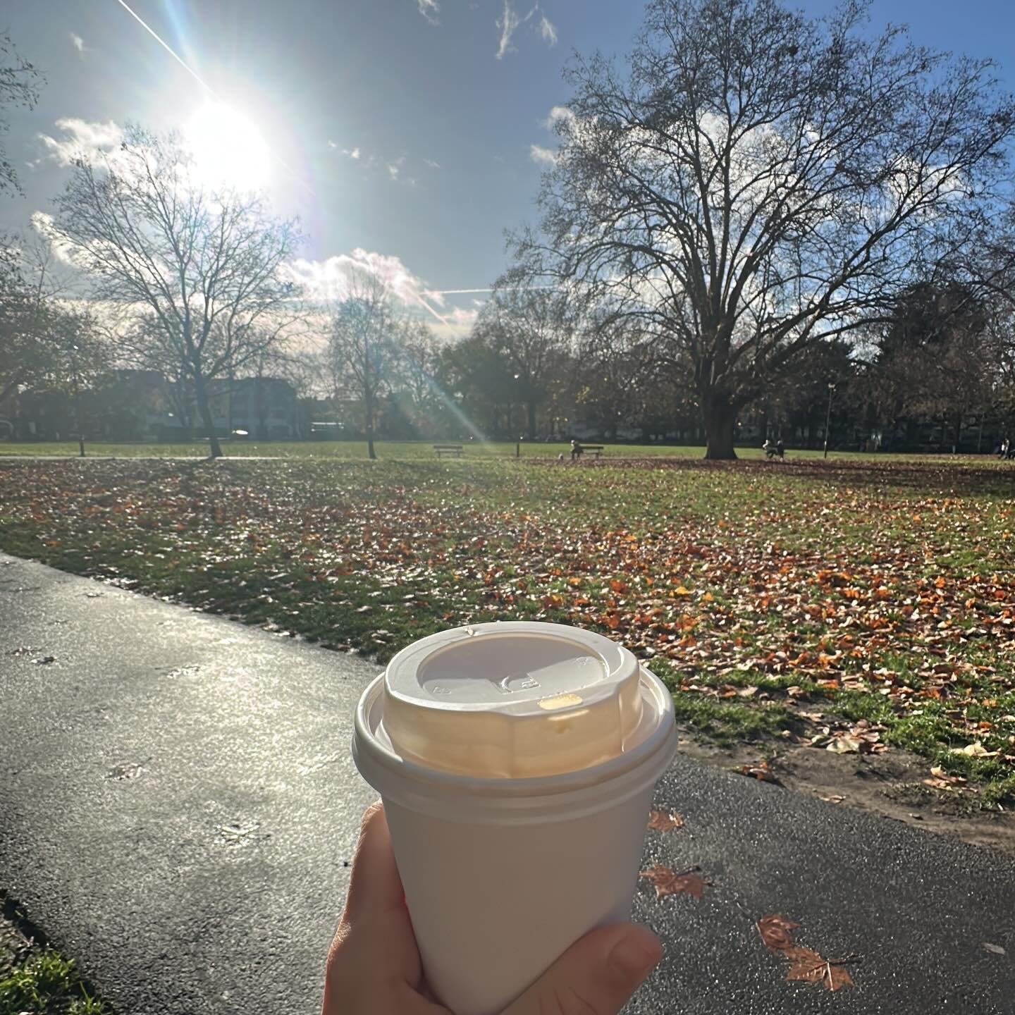 Life lately 🤗 ☕️ ☀️🐿️ 🏠