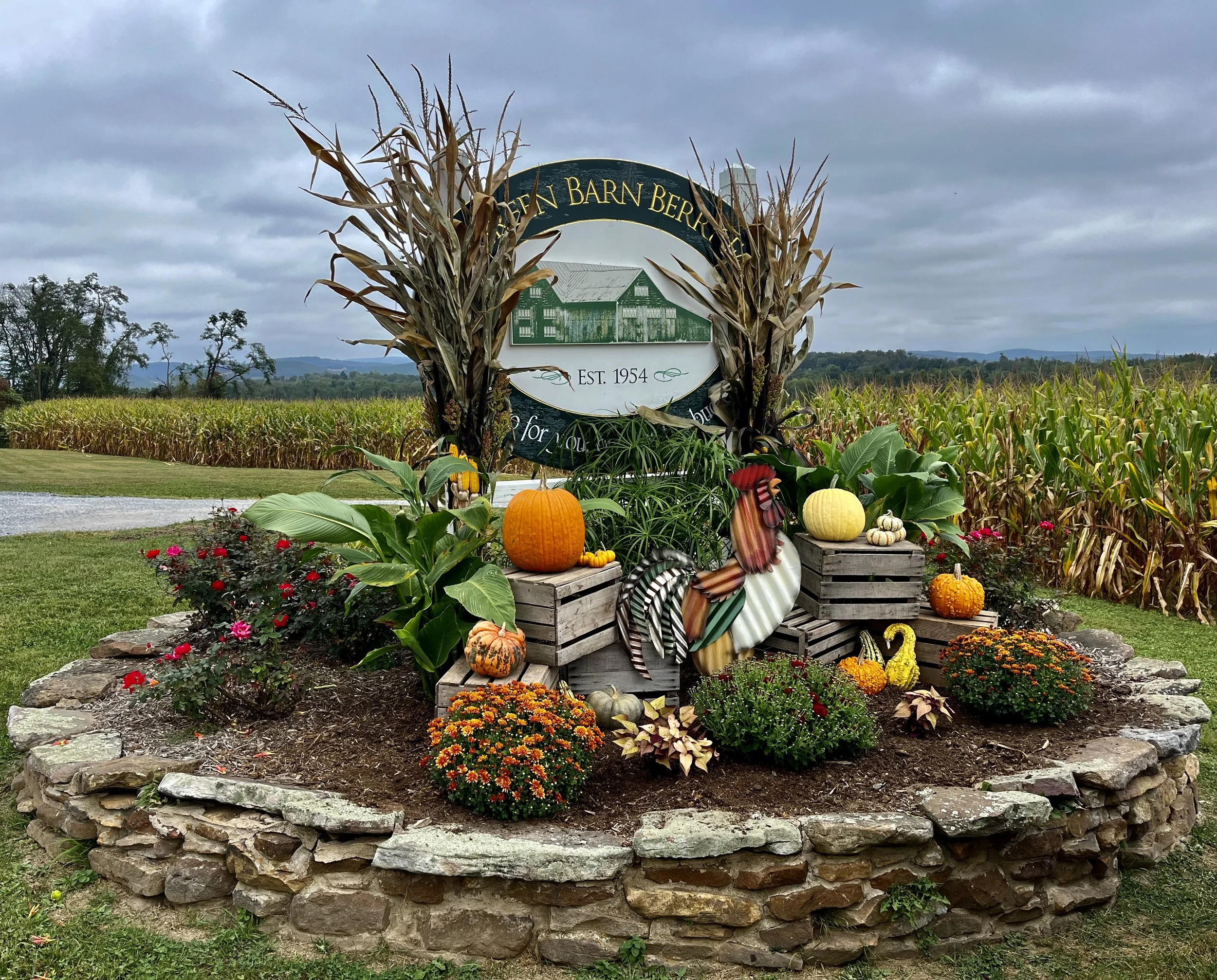 Watch for the sign at the top of our lane as you visit in the fall.
