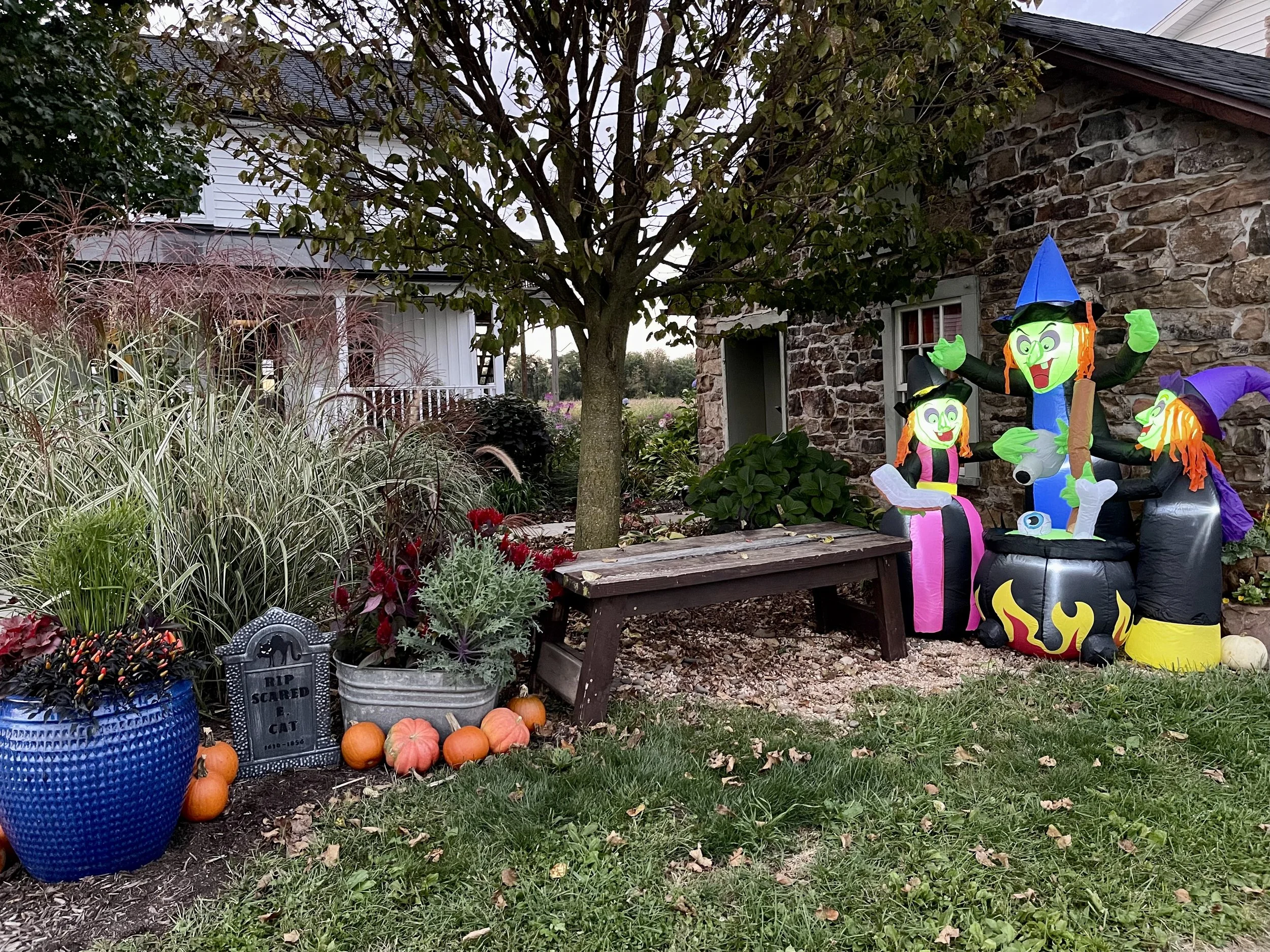 The stone building all decorated for the fall season.
