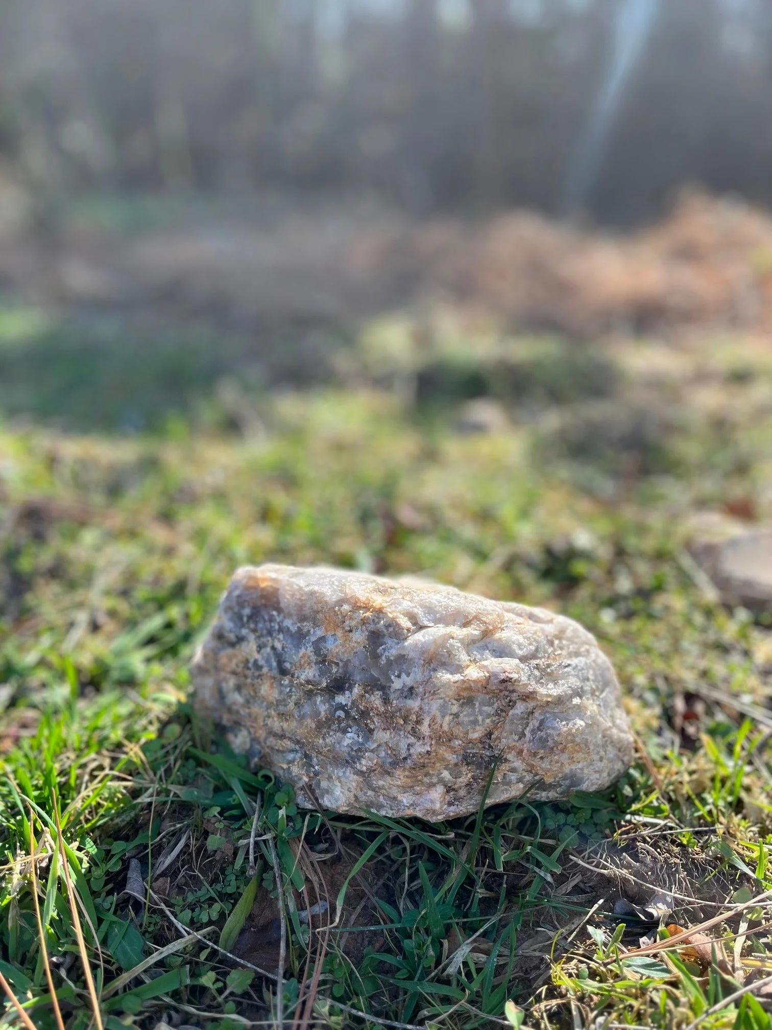 rock.jpg