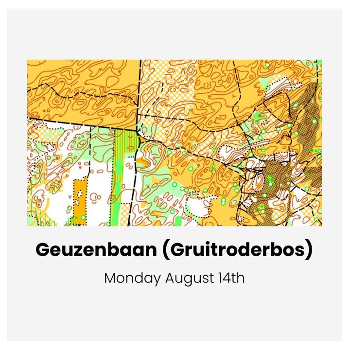 🧭 On the 3rd day (14th of August) we return to the Belgian forests. We will then run on 'Geuzenbaan' (part of Gruitroderbos).
#4daysoflimburg #olomega #orienteering #orienteeringsport