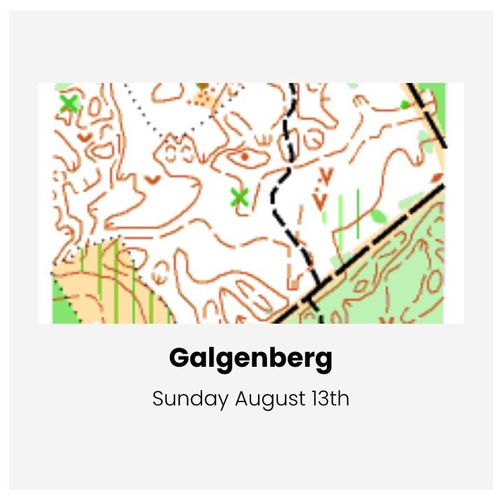 🧭 The second race of our 4 days of Limburg will be run on the map Galgenberg (NL) on Sunday the 13th of August. 
In cooperation with KOVZ. #4daysoflimburg #olomega #orienteering #orienteeringsport