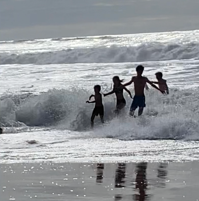 Bekijk recente foto's.png