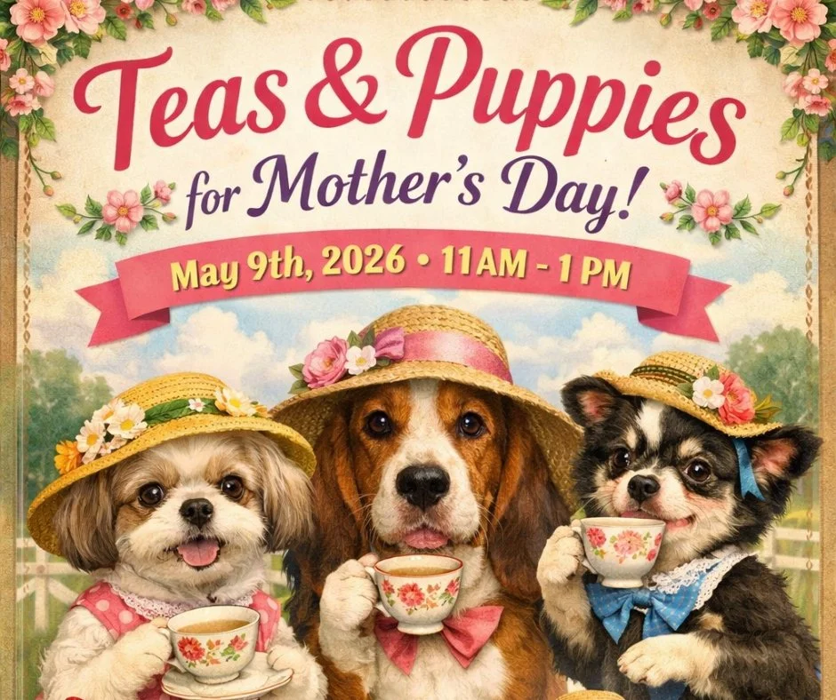 Tea and Pups