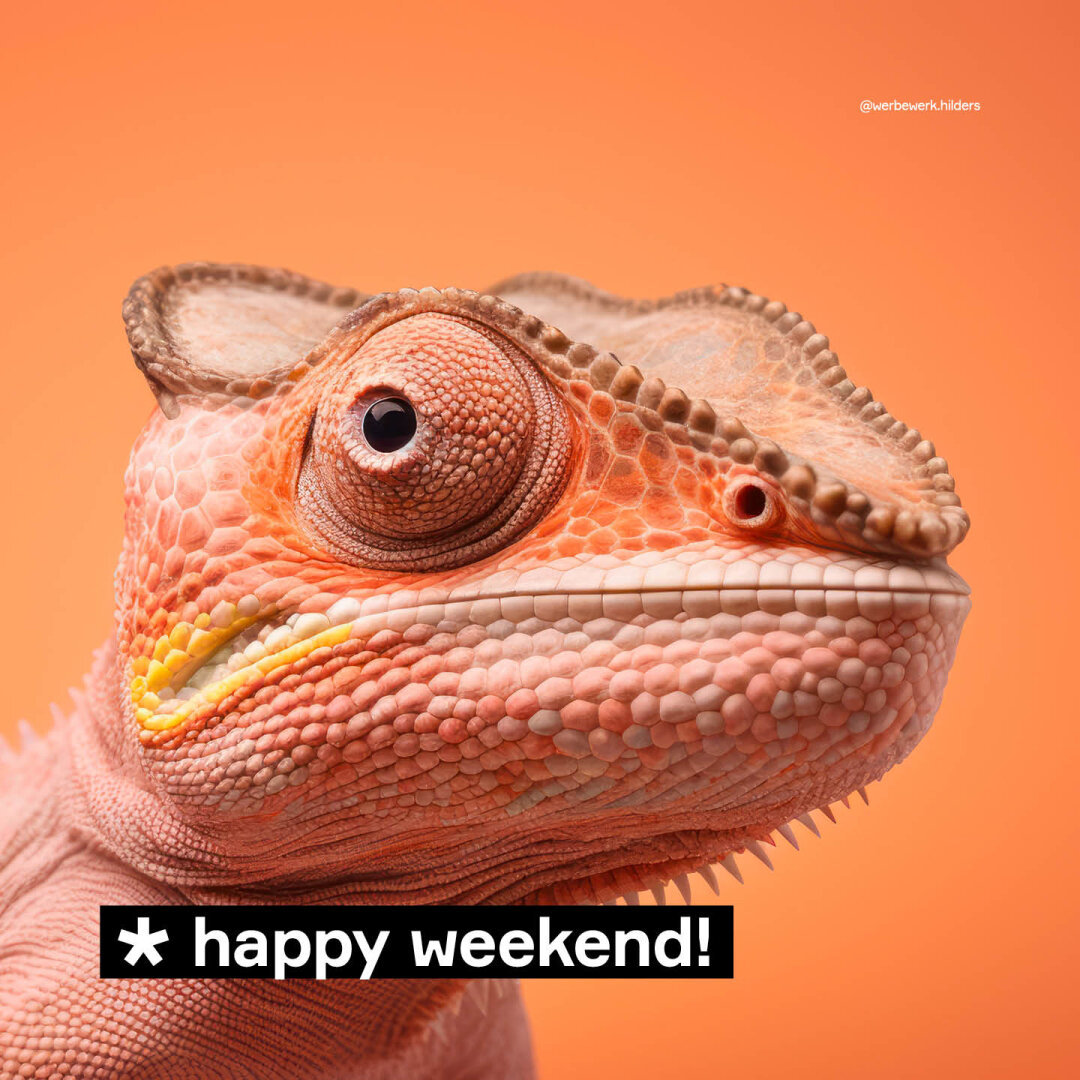 Wir w&uuml;nschen Euch ein sch&ouml;nes Wochenende! 🤗☀️💛
 
#werbewerkhilders #happyweekend #sch&ouml;neswochenende