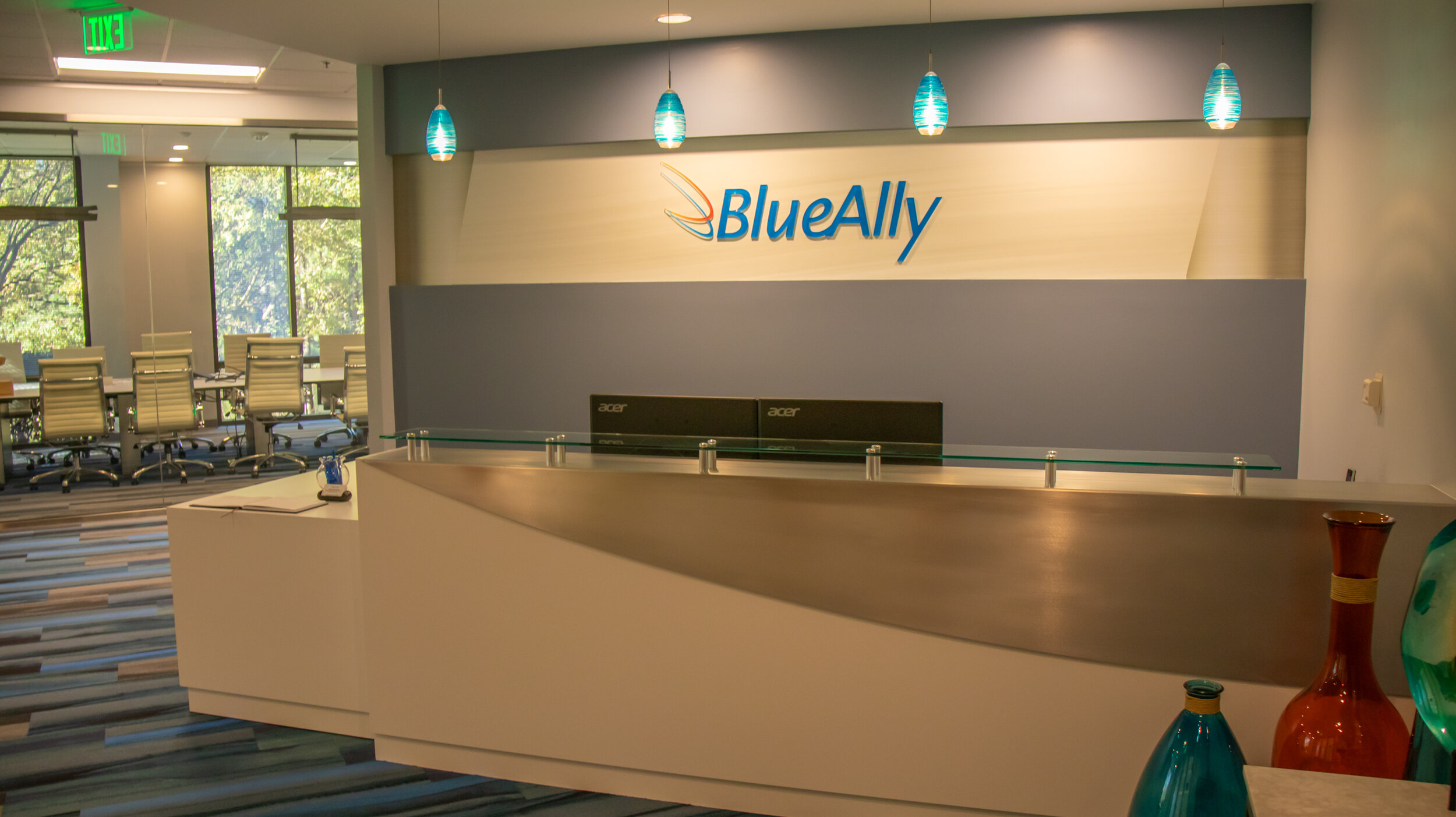 BllueAlly-4.jpg