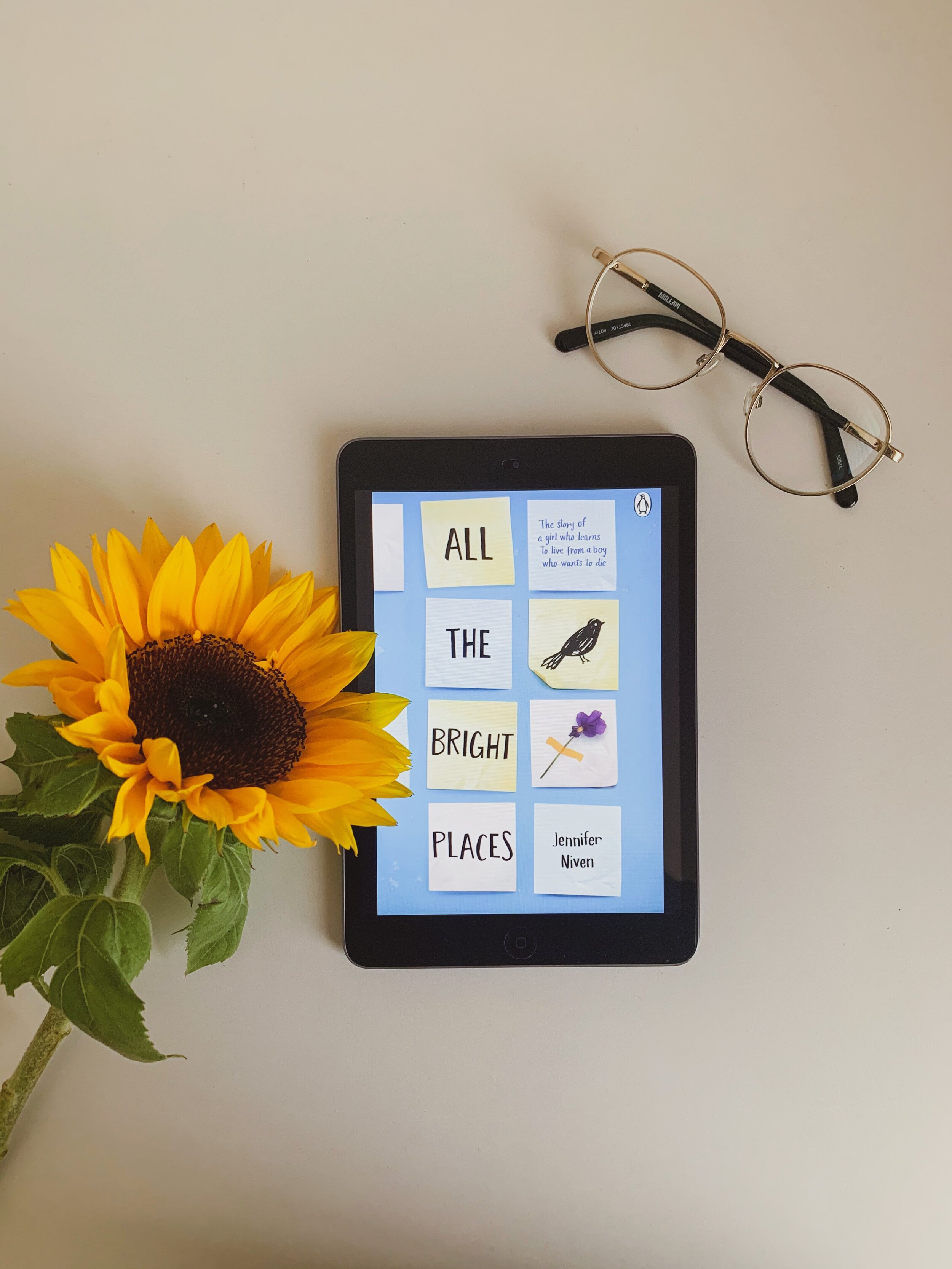 all-the-bright-places-book-review-ebook-cover-2-lulus-little-bookshelf.jpeg
