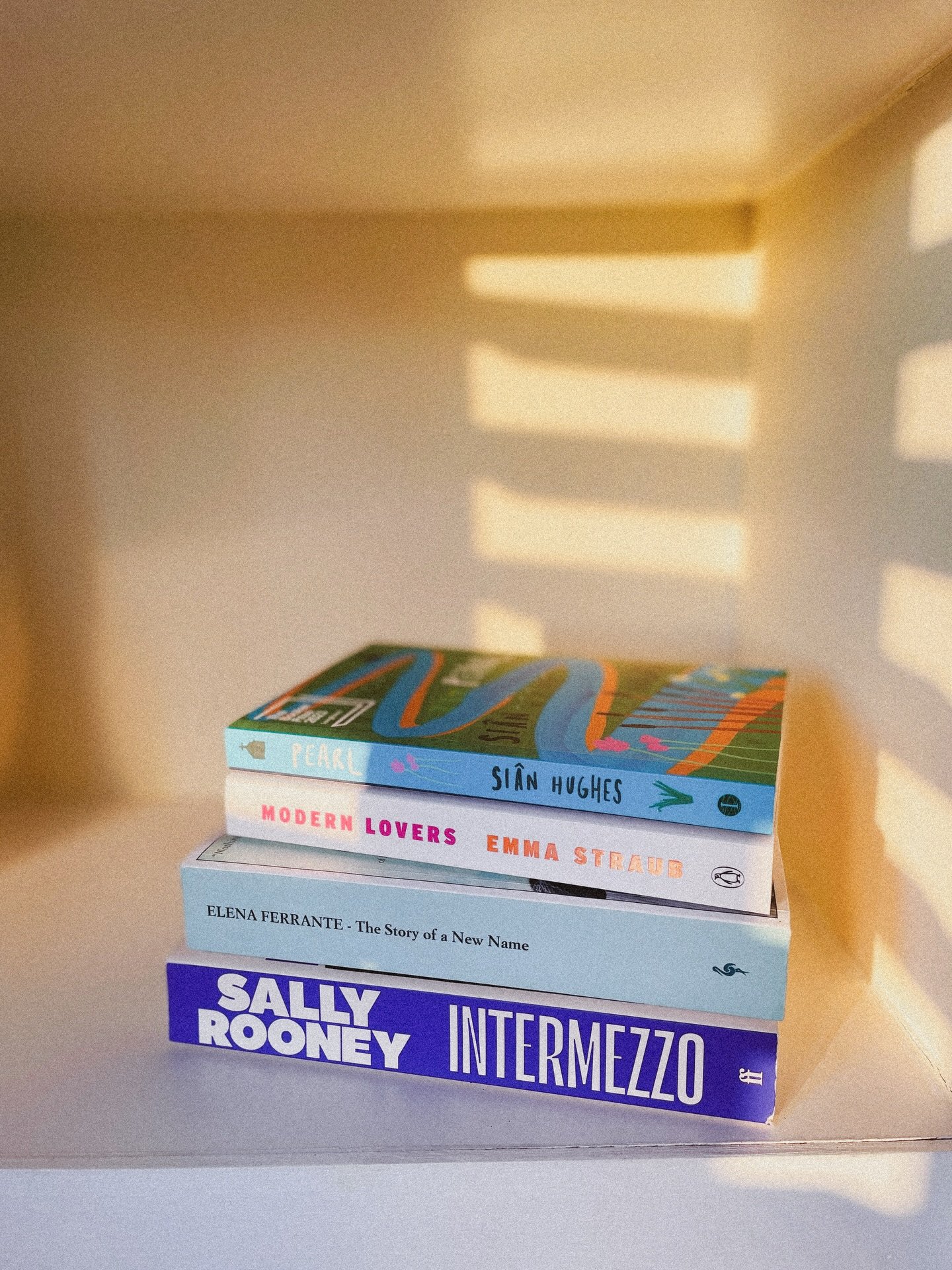 February tbr 🌷

We&rsquo;re inching closer and closer to spring, and this month, I&rsquo;ve got an exciting adventure just around the corner! This is a slightly ambitious pile of books to read in February, but I chose the first four before going to 