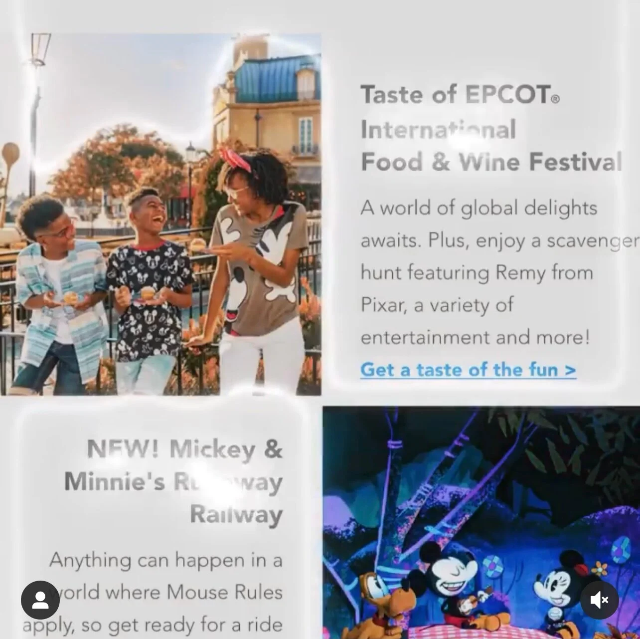 Epcot Campaign.