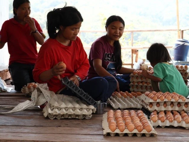 One Life Thailand Sites