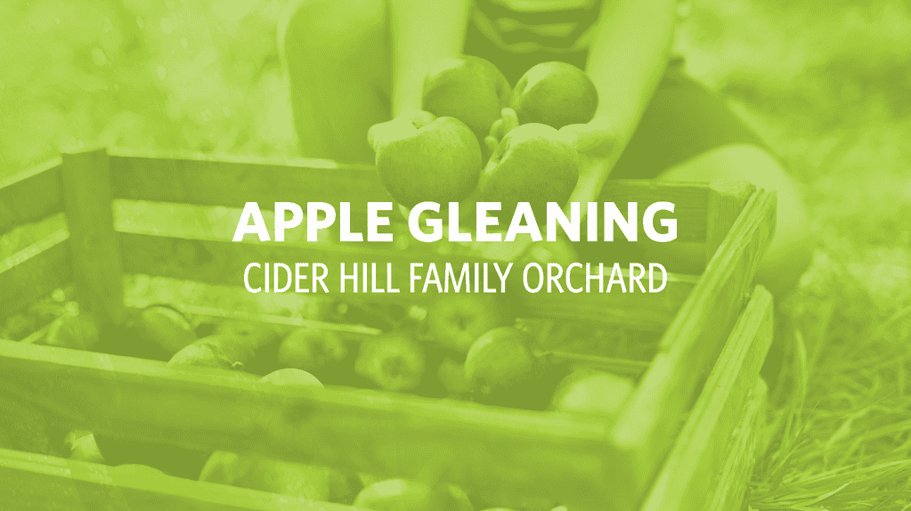 Apple Gleaning • Kids Ministry