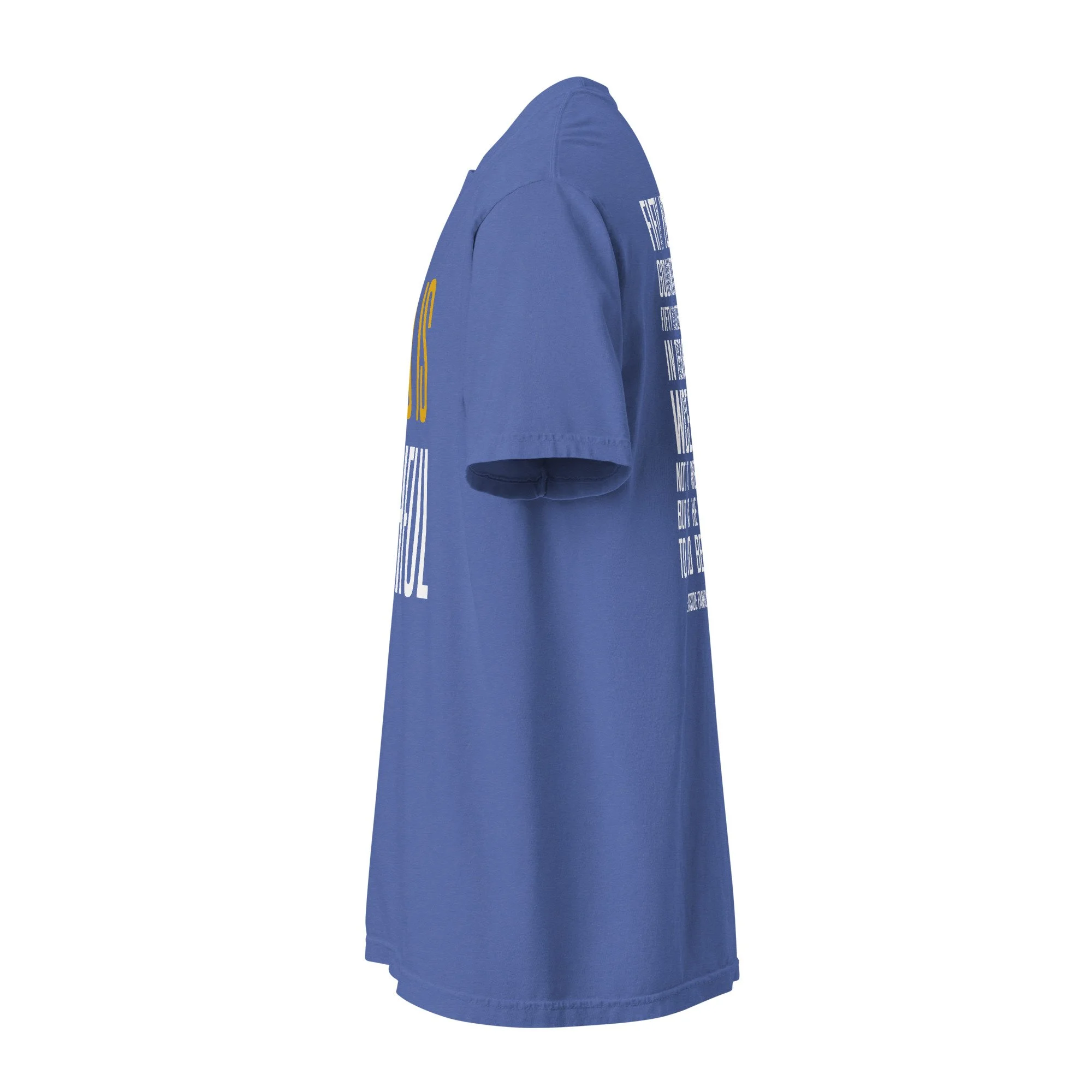 unisex-garment-dyed-heavyweight-t-shirt-mystic-blue-left-6ace58bf60add.jpg