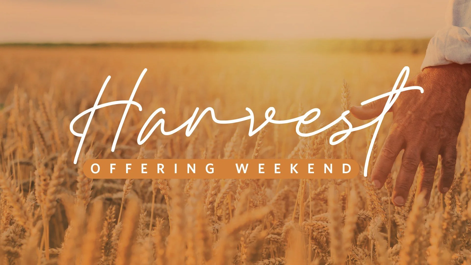 Harvest Weekend
