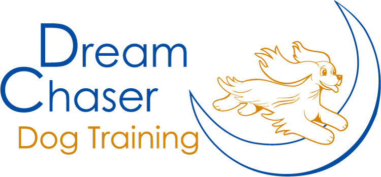 Dream Chaser Dog Training