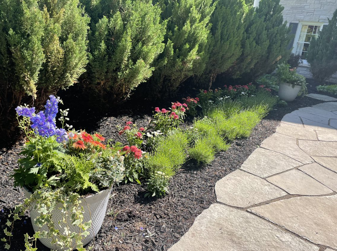 Perennial flowers.PNG