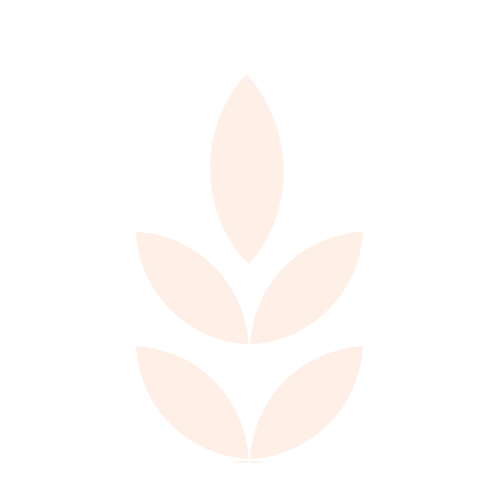 Geometric drawing of an outline square with sections divided by vertical, horizontal, and circle lines.