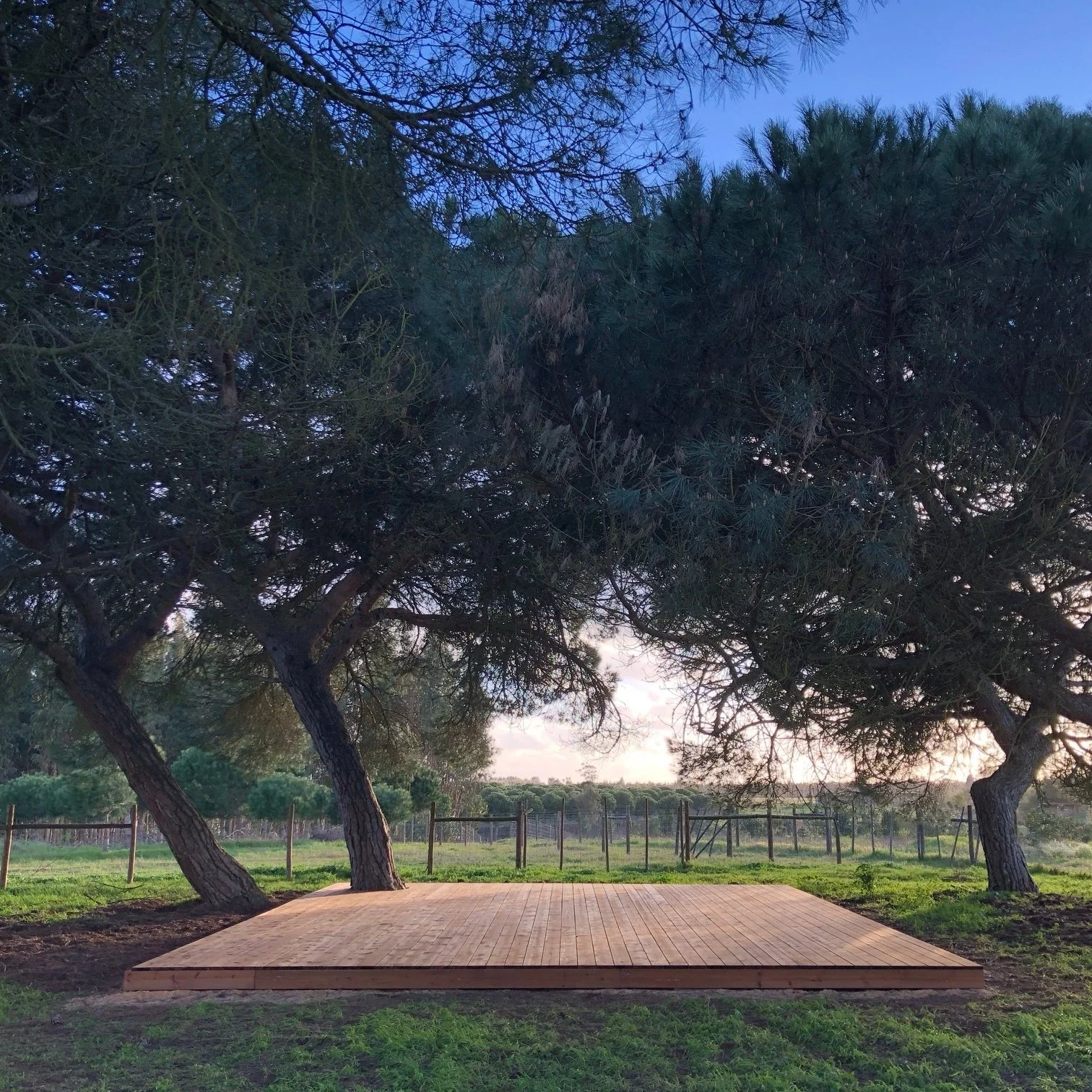 Cocoon+Portugal+|+Pine+Shala 2.JPG