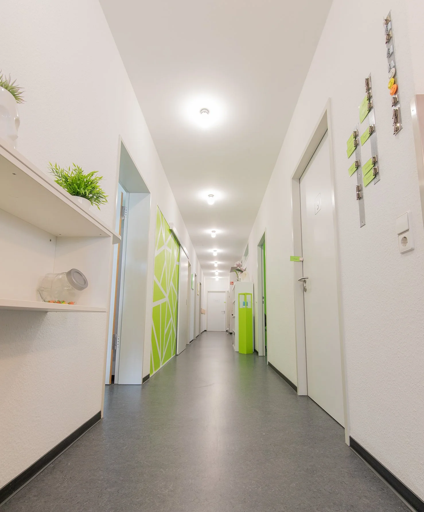 Ein heller Flur mit weißen Wänden, mehreren Türen, gut beleuchtet mit Deckenleuchten, einem grünen, dekorativen Wanddesign, Pflanzen auf einer Ablage und mehreren kleinen Gegenständen an der Wand.