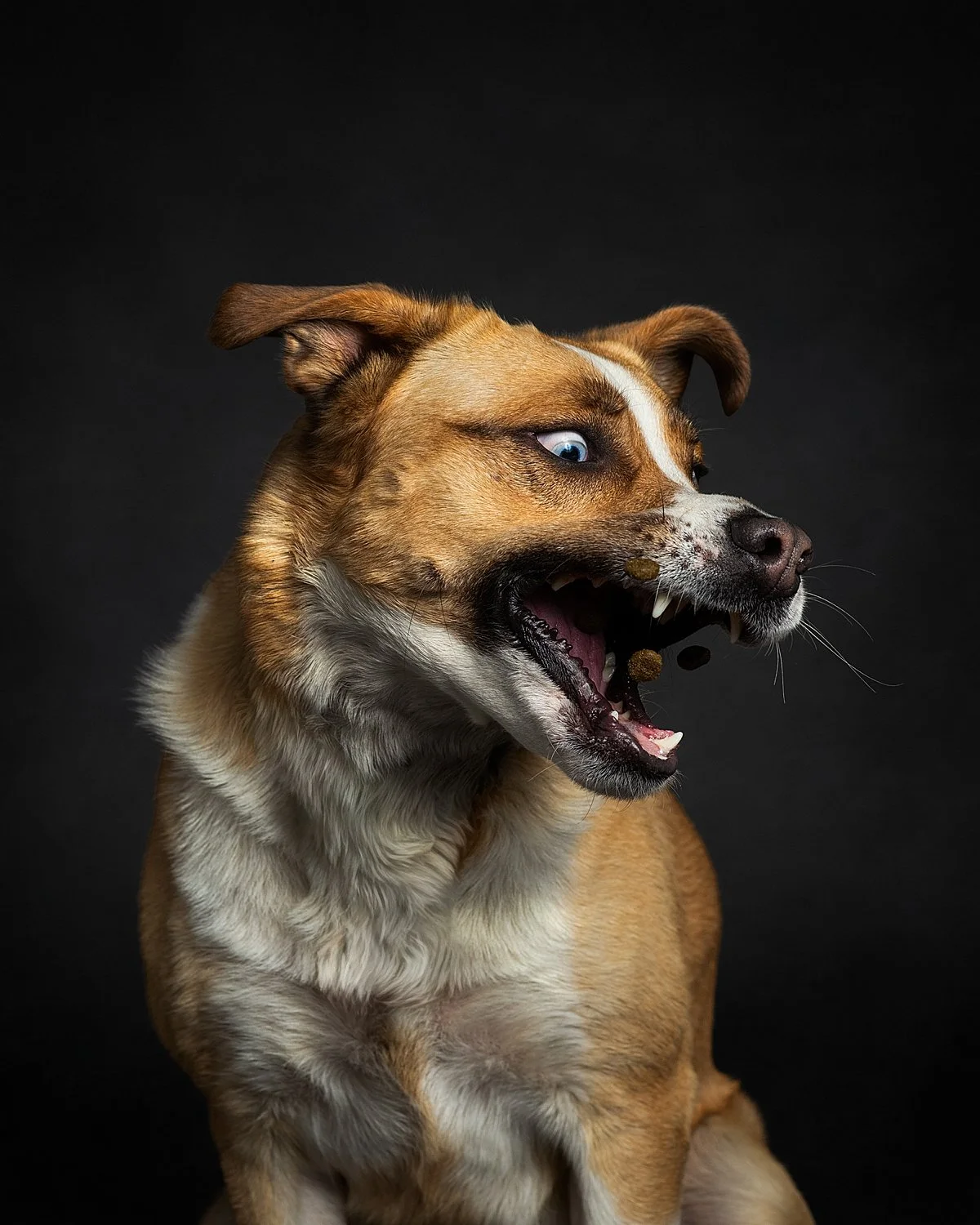 2026-07-17 Darby 1_Web.jpg