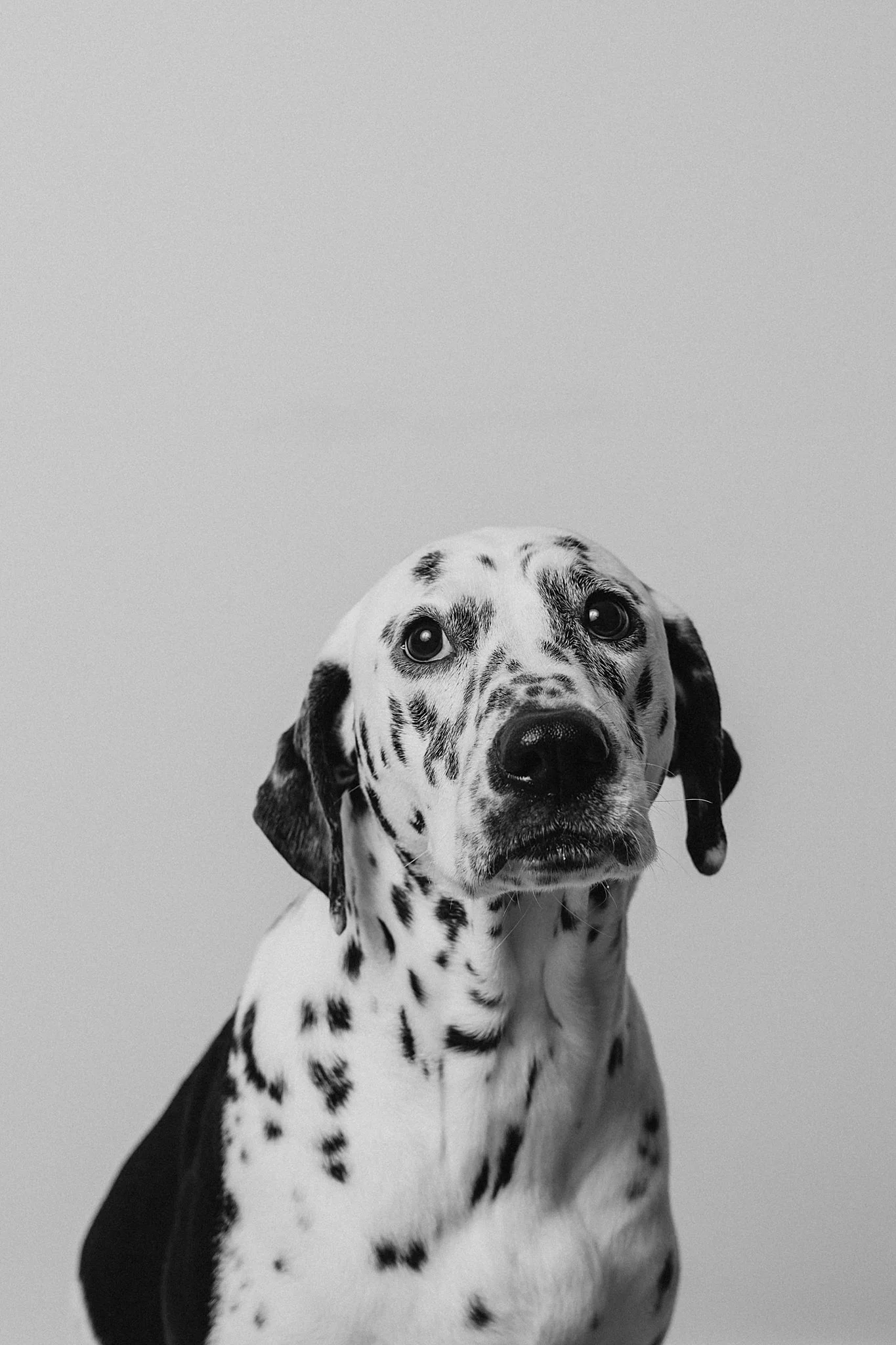 2026-02-07 AB Josh & Freya-8_Web-1.jpg