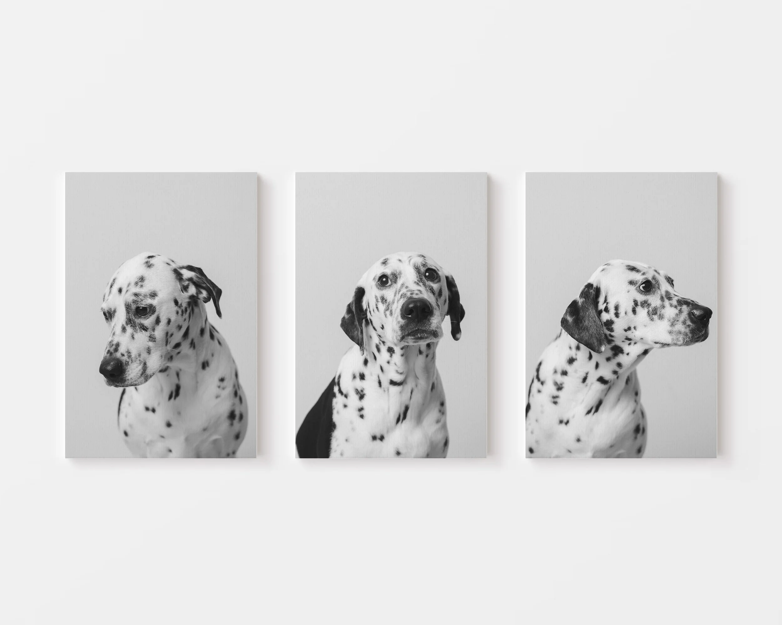 Triptych