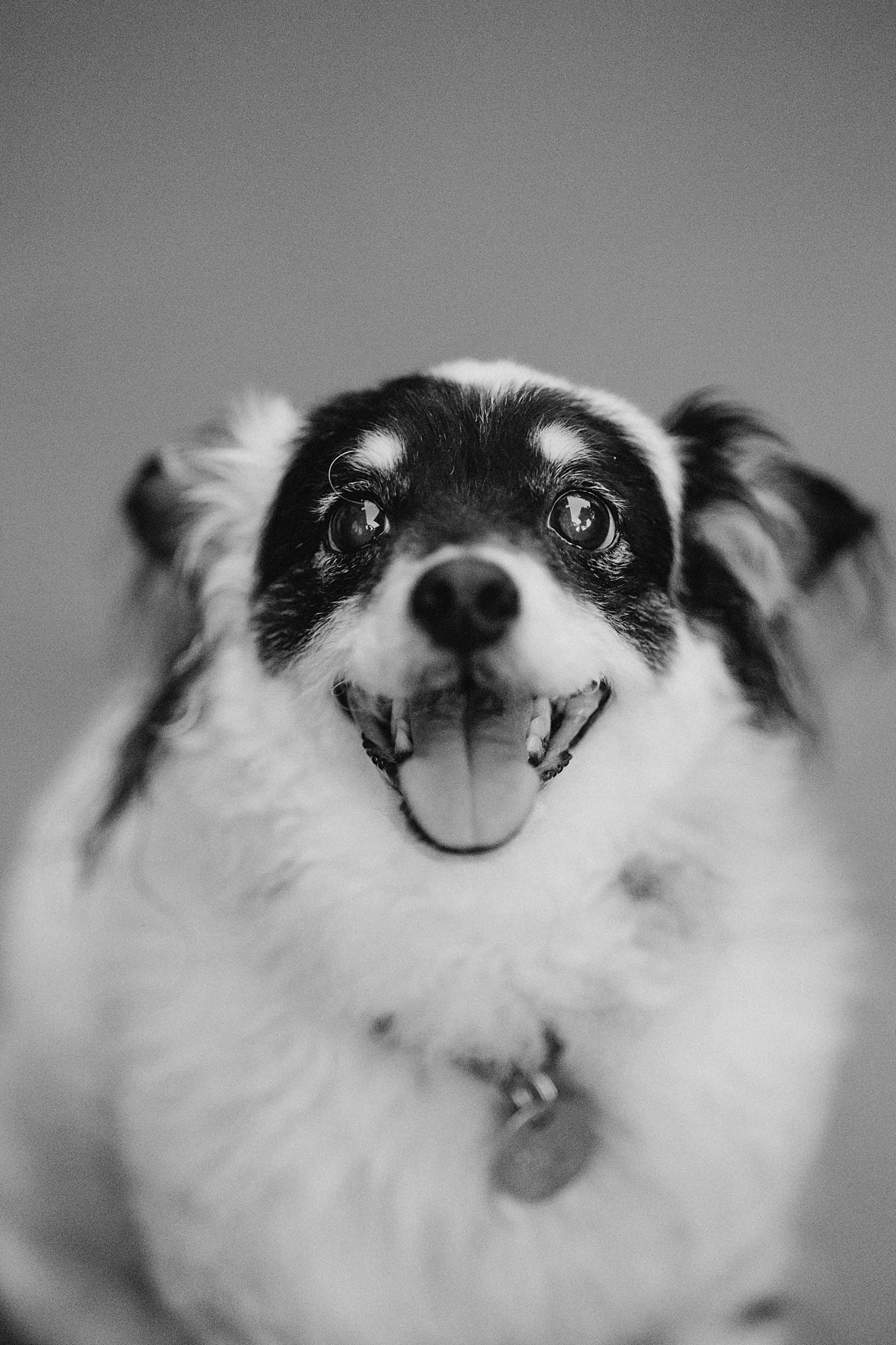 2025-09-03 Anna + Zorro Previews-6_Web.jpg