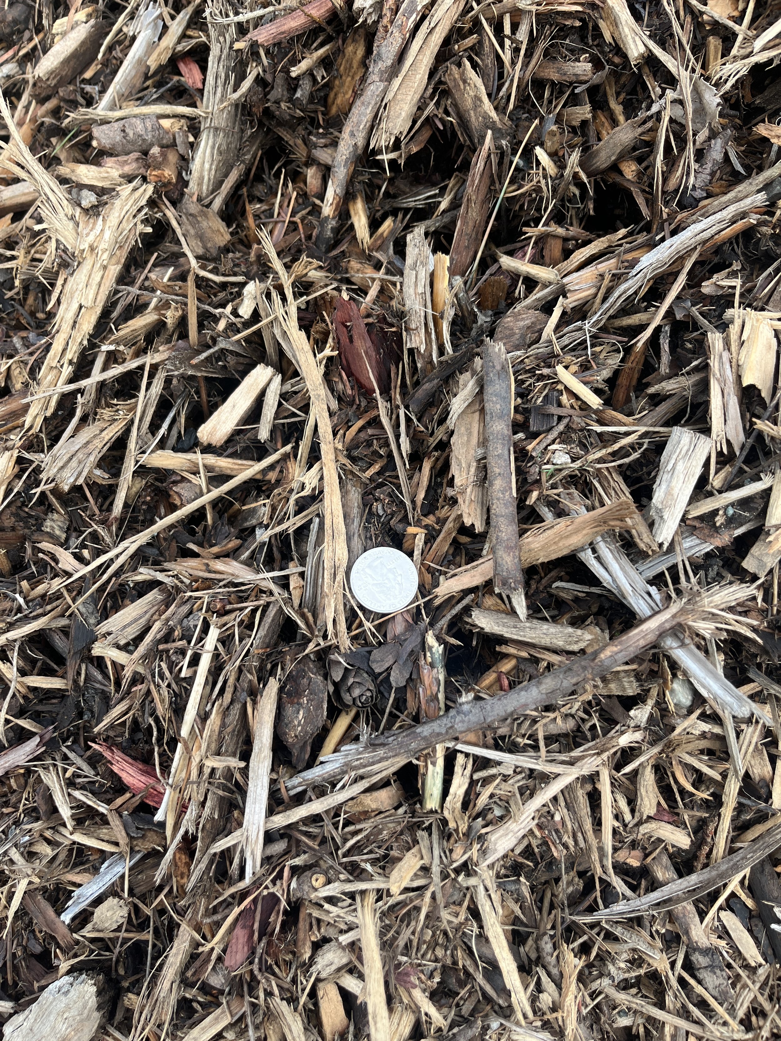 Coarse Mulch