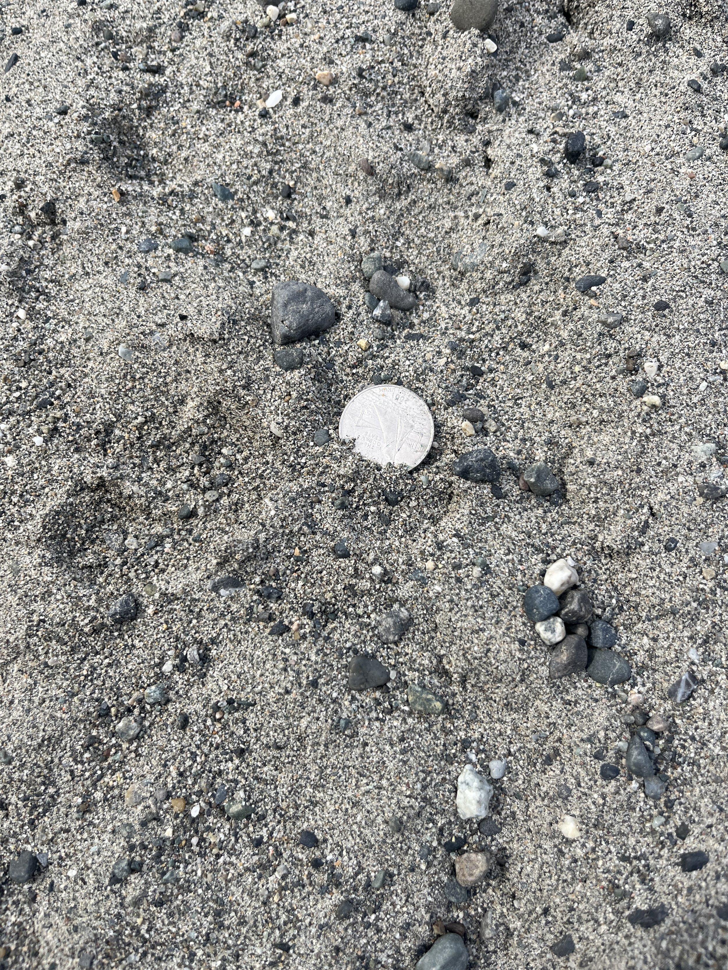 Sand - Coarse